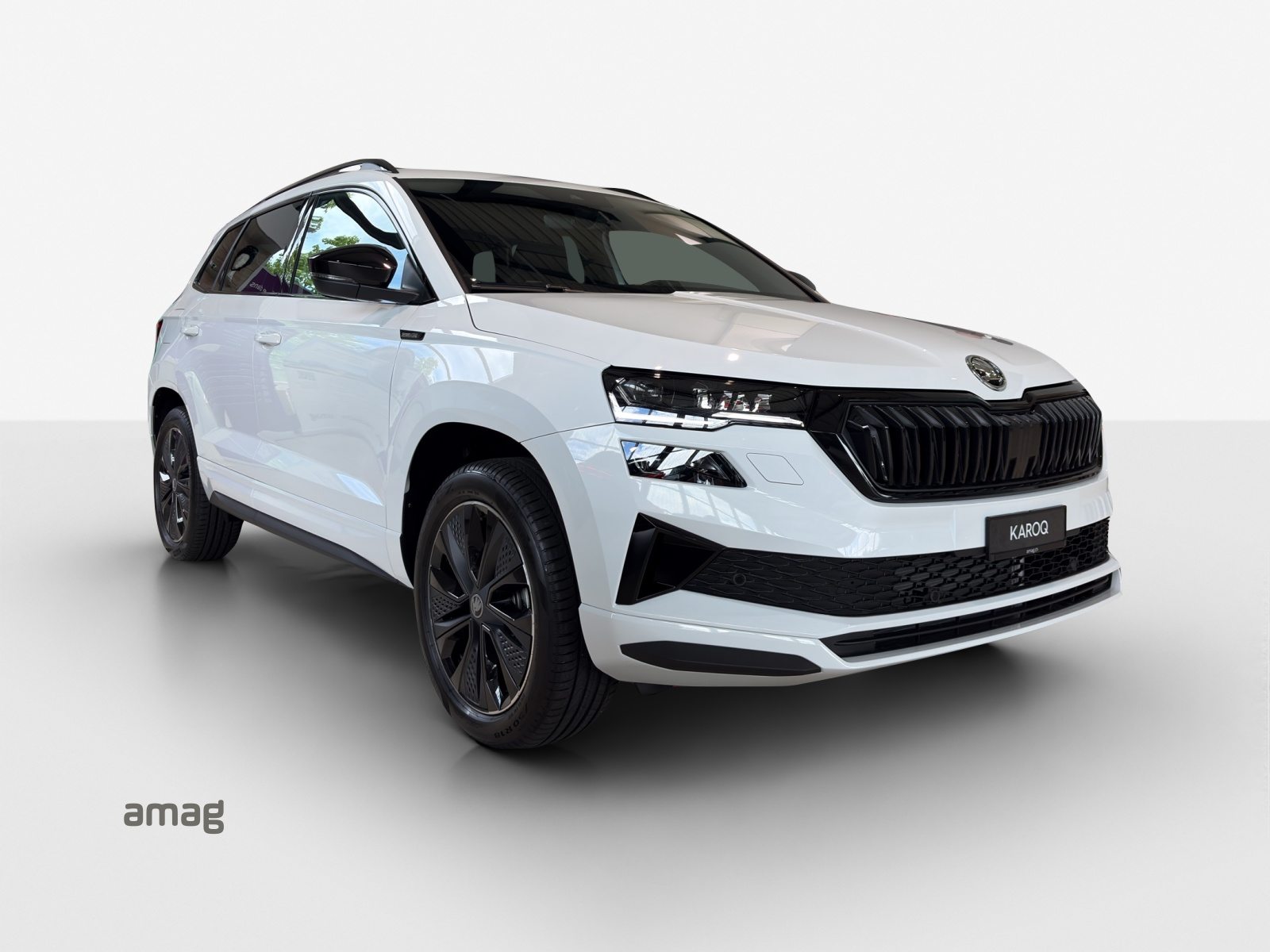 SKODA Karoq «Dynamic» Limited Edition (Netto), Essence, Voiture nouvelle, Automatique - 4