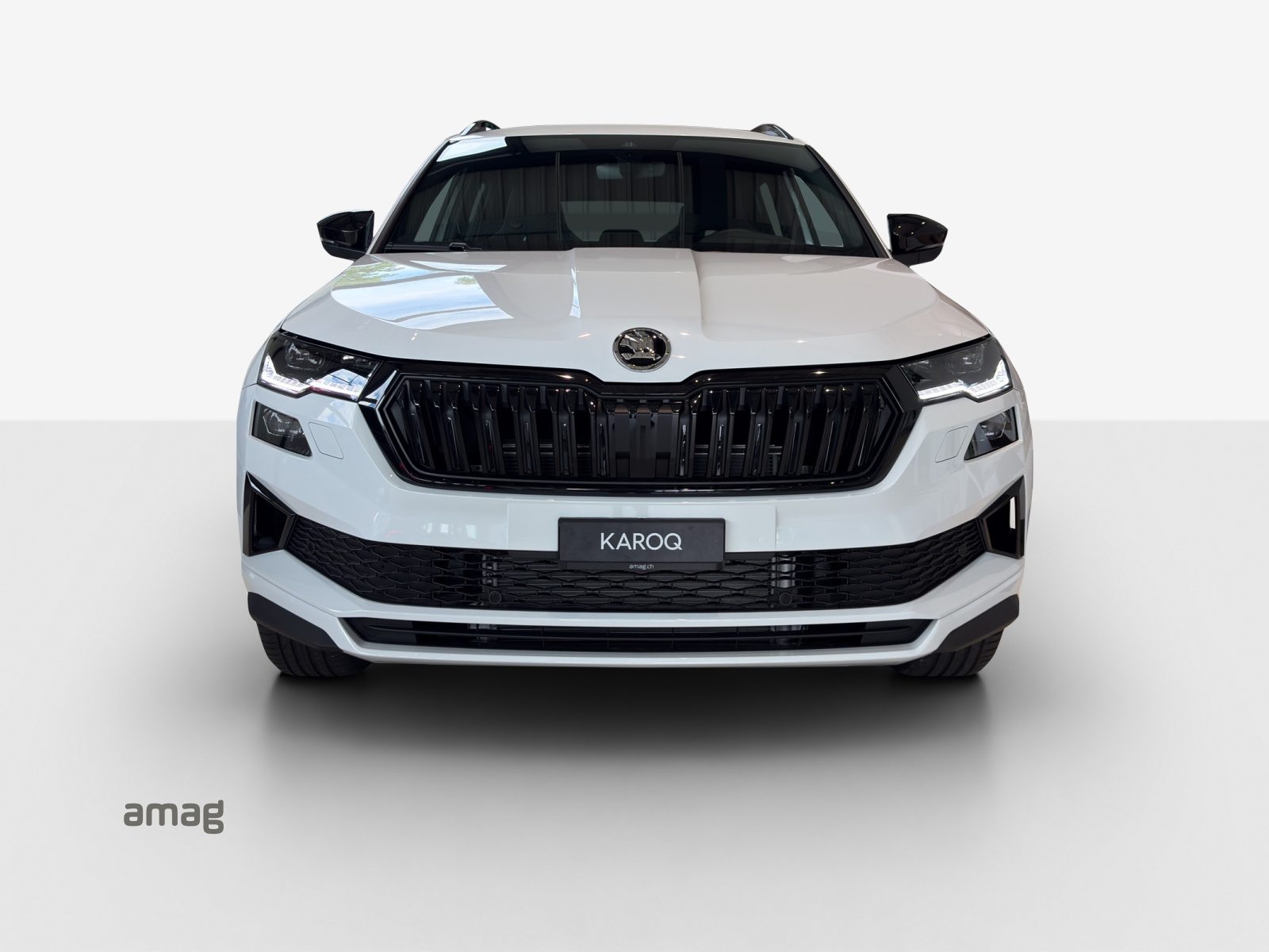 SKODA Karoq «Dynamic» Limited Edition (Netto), Essence, Voiture nouvelle, Automatique - 5