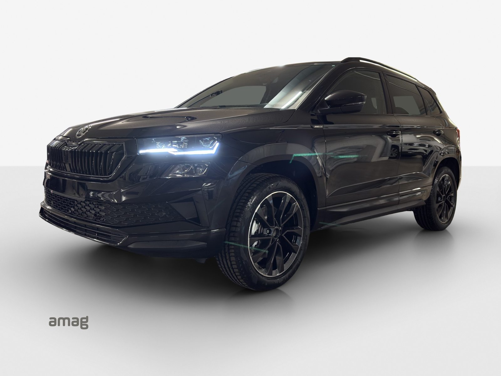 SKODA Karoq «Dynamic» Limited Edition (Netto)