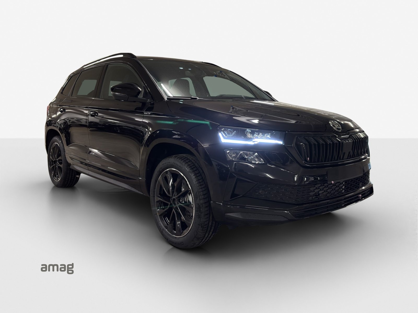 SKODA Karoq «Dynamic» Limited Edition (Netto), Benzina, Auto nuove, Automatico - 6