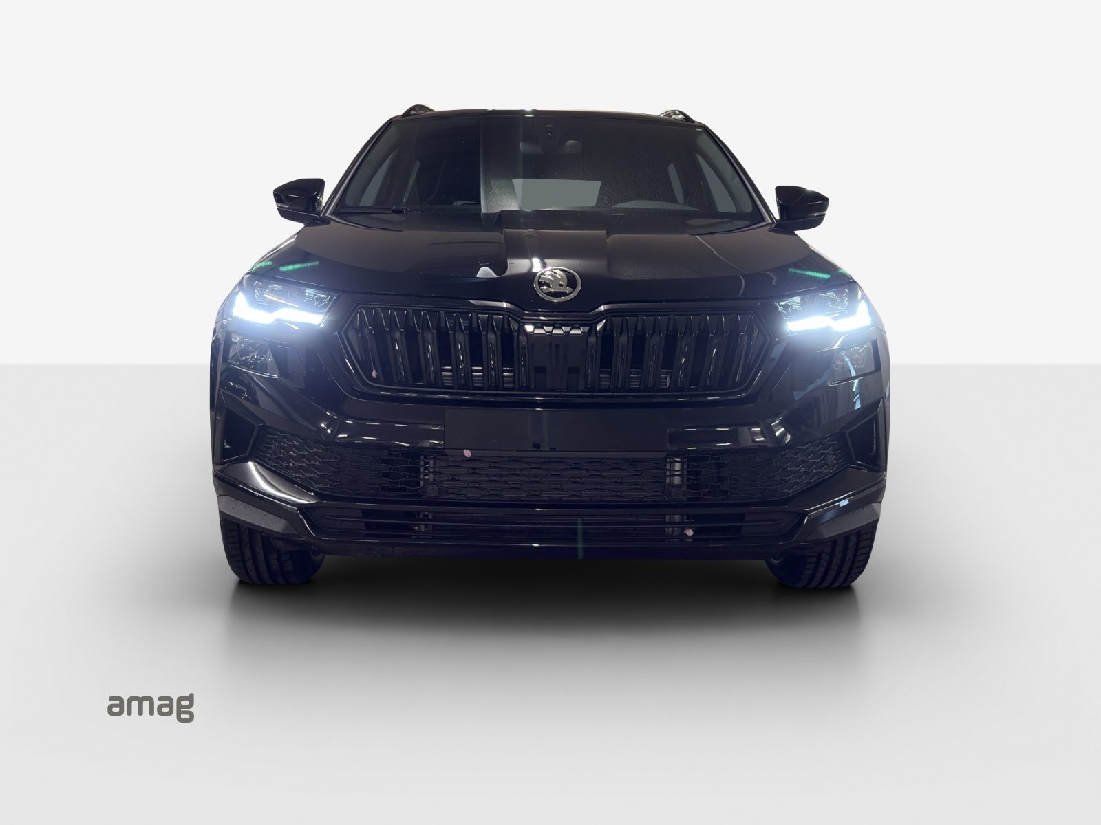 SKODA Karoq «Dynamic» Limited Edition (Netto), Benzina, Auto nuove, Automatico - 7