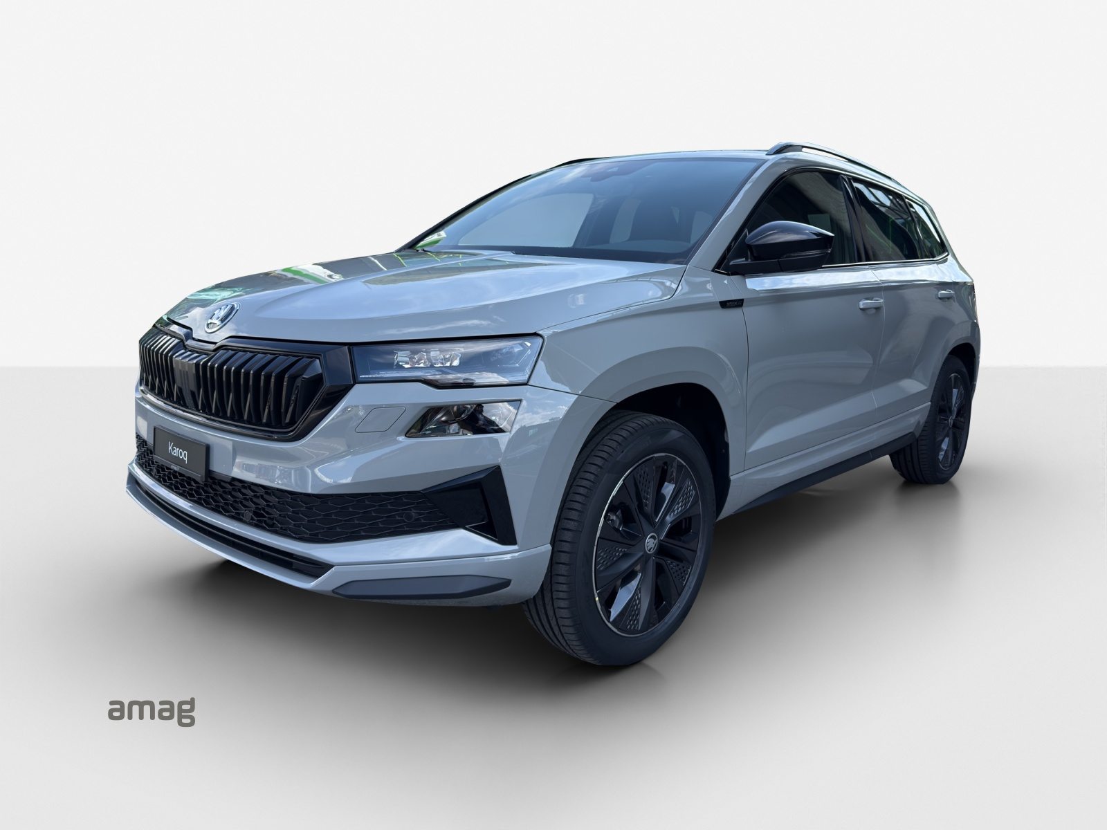 SKODA Karoq «Dynamic» Limited Edition (Netto)