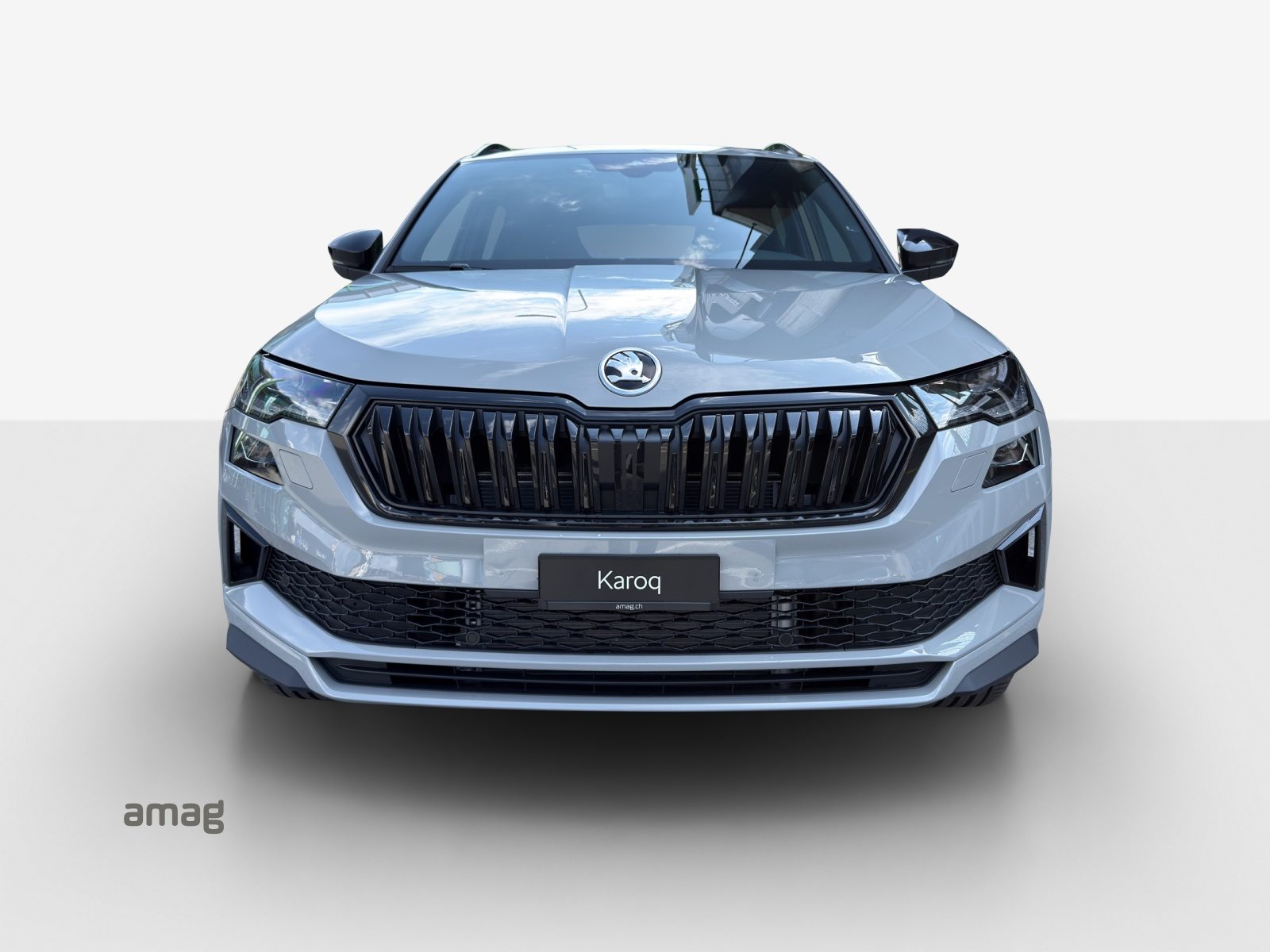 SKODA Karoq «Dynamic» Limited Edition (Netto), Benzin, Neuwagen, Automatik - 7