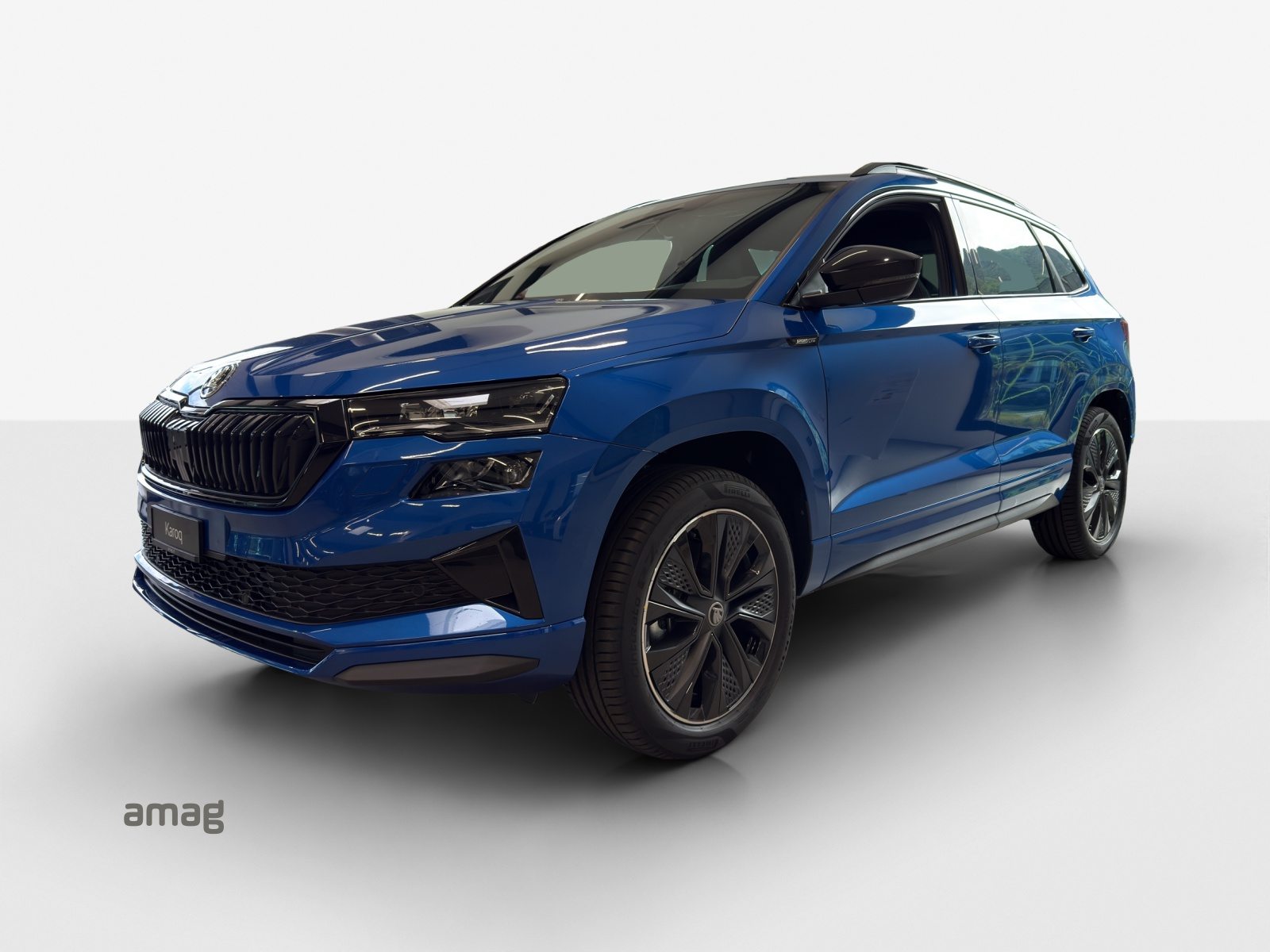 SKODA Karoq «Dynamic» Limited Edition (Netto)
