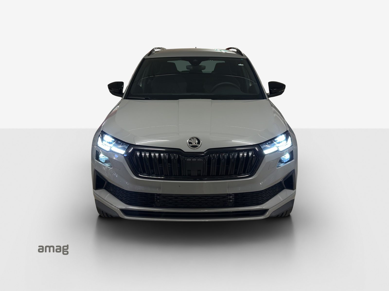 SKODA Karoq «Dynamic» Limited Edition (Netto), Benzin, Neuwagen, Automatik - 2