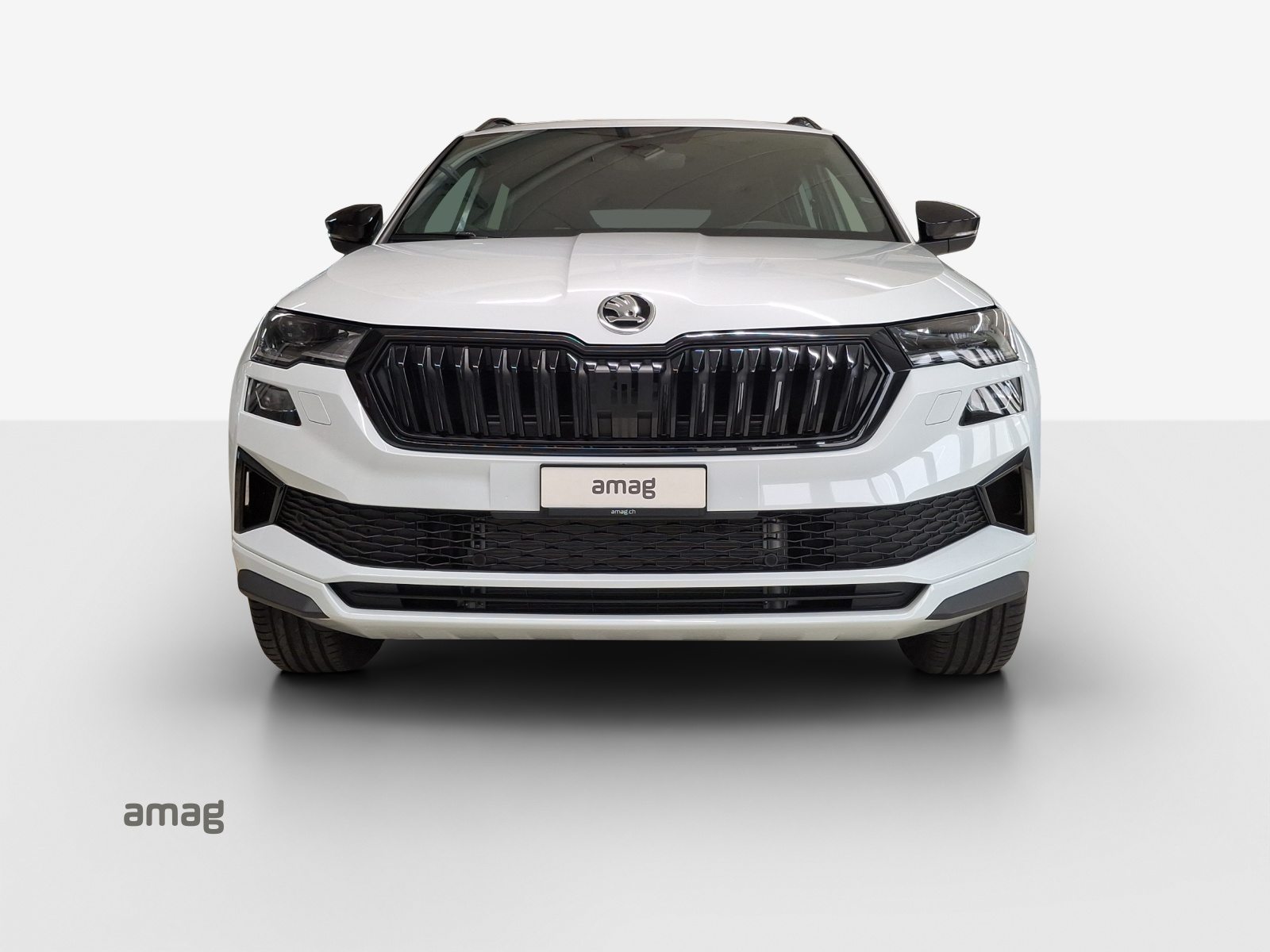 SKODA Karoq «Dynamic» Limited Edition (Netto), Benzin, Neuwagen, Automatik - 7