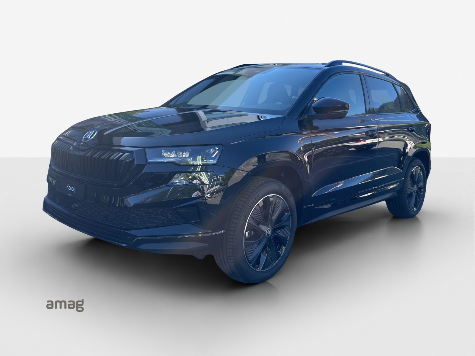 SKODA Karoq «Dynamic» Limited Edition (Netto), Benzina, Auto nuove, Automatico - 2