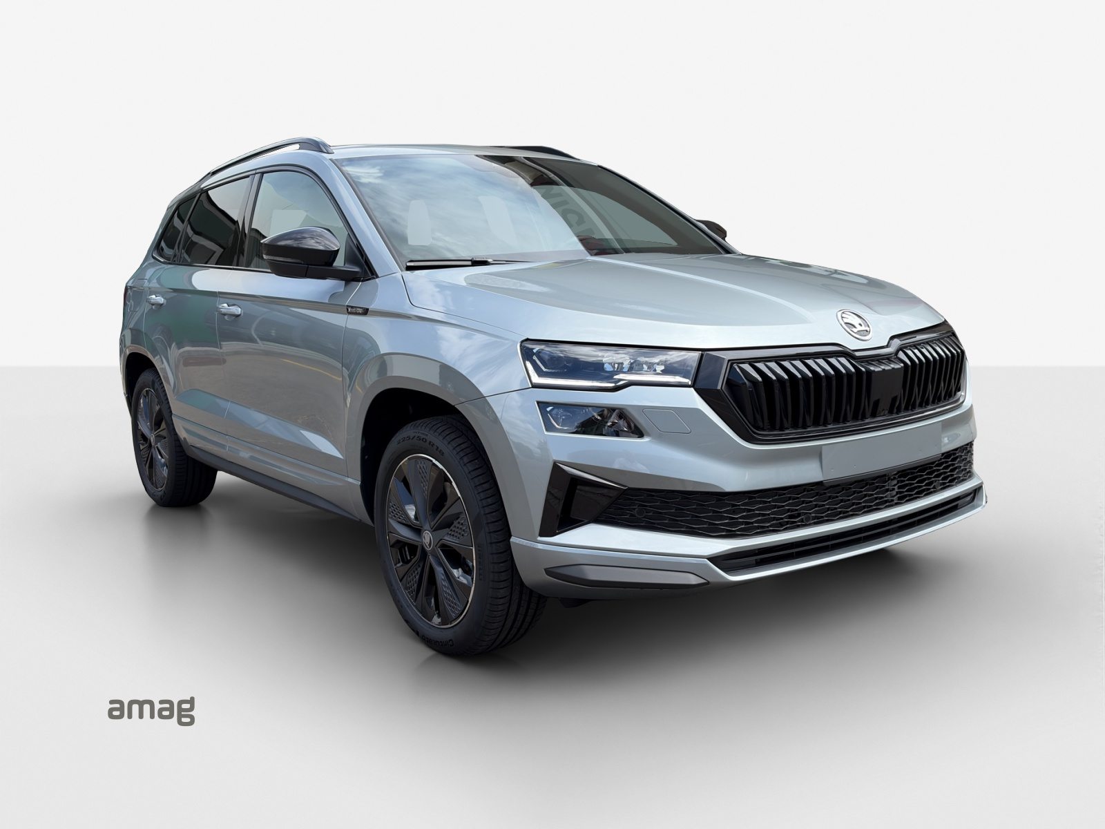SKODA Karoq «Dynamic» Limited Edition (Netto), Benzina, Auto nuove, Automatico - 6