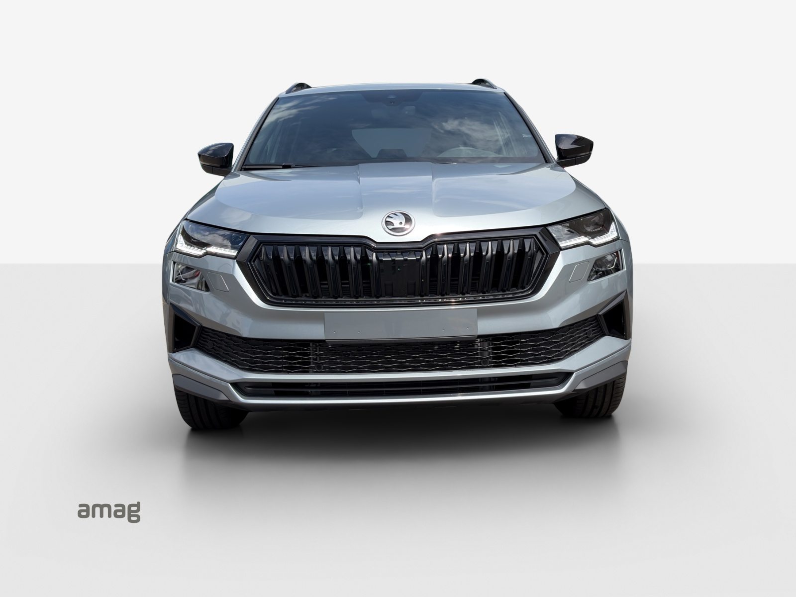 SKODA Karoq «Dynamic» Limited Edition (Netto), Benzina, Auto nuove, Automatico - 7
