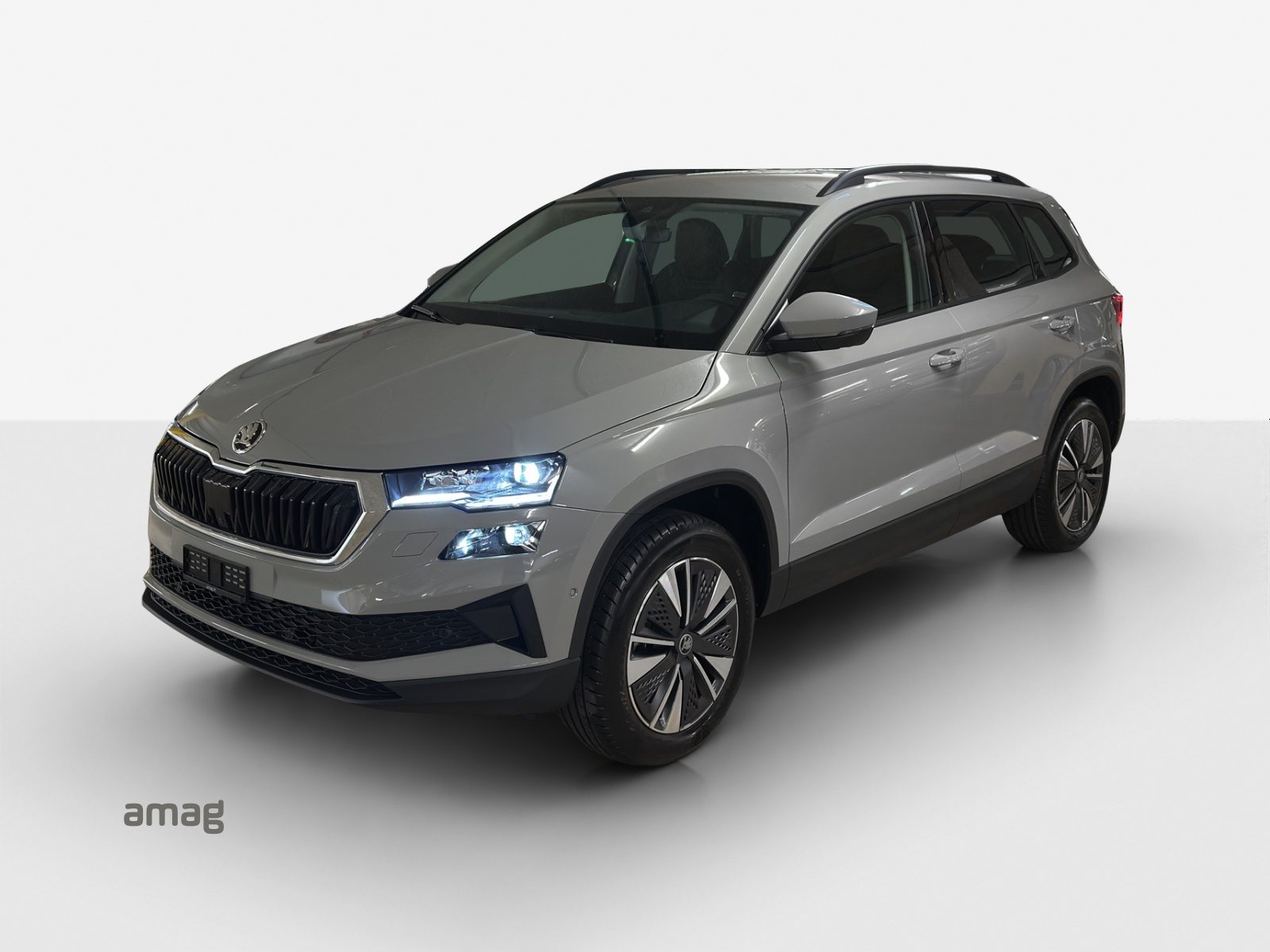 SKODA Karoq Dynamic (Netto)