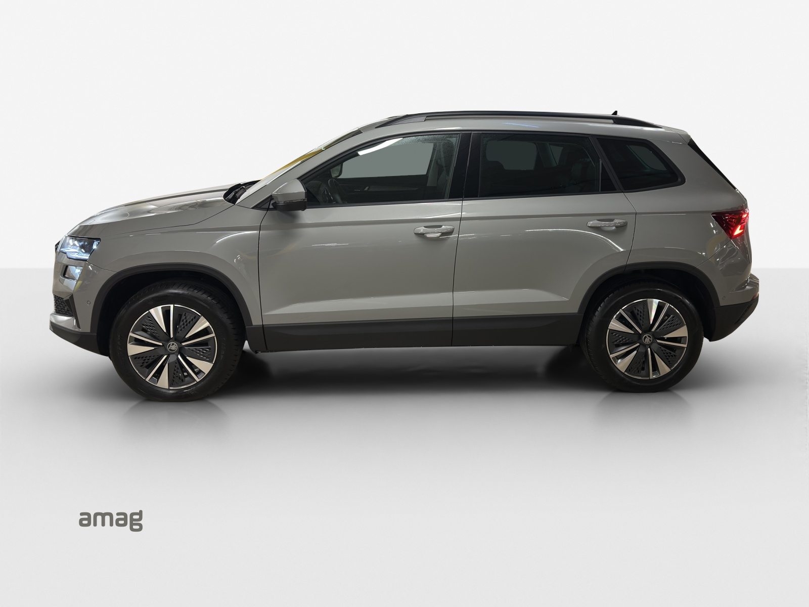 SKODA Karoq Dynamic (Netto), Diesel, Neuwagen, Automatik - 2