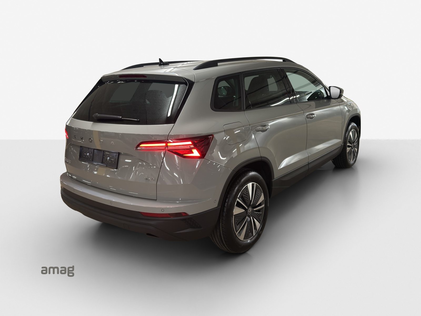 SKODA Karoq Dynamic (Netto), Diesel, Neuwagen, Automatik - 5
