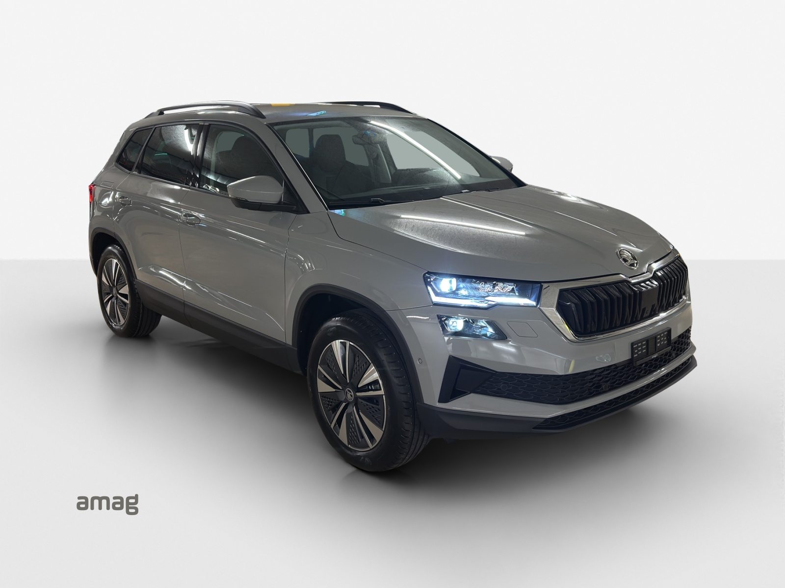 SKODA Karoq Dynamic (Netto), Diesel, Neuwagen, Automatik - 6