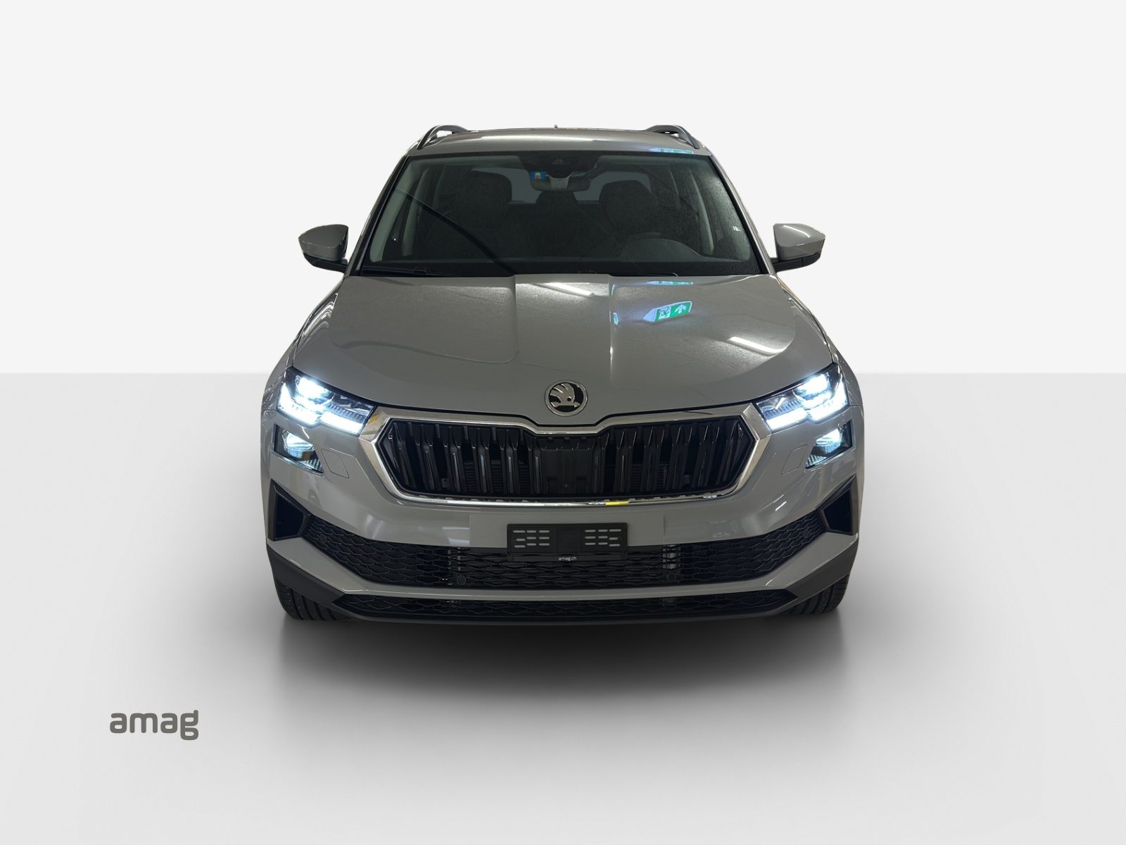 SKODA Karoq Dynamic (Netto), Diesel, Neuwagen, Automatik - 7