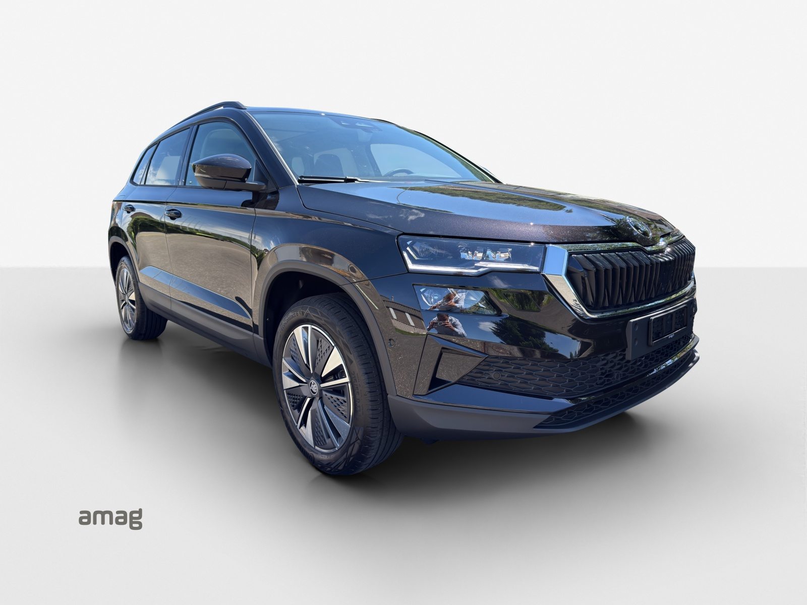 SKODA Karoq Dynamic (Netto), Essence, Voiture nouvelle, Automatique - 6