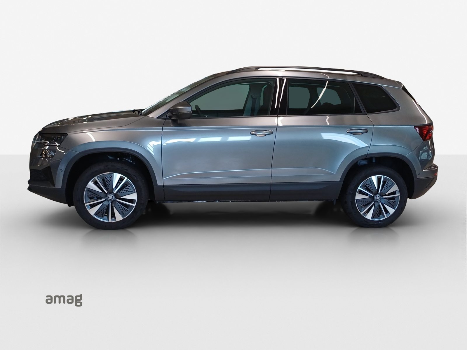 SKODA Karoq Dynamic (Netto), Petrol, New car, Automatic - 2