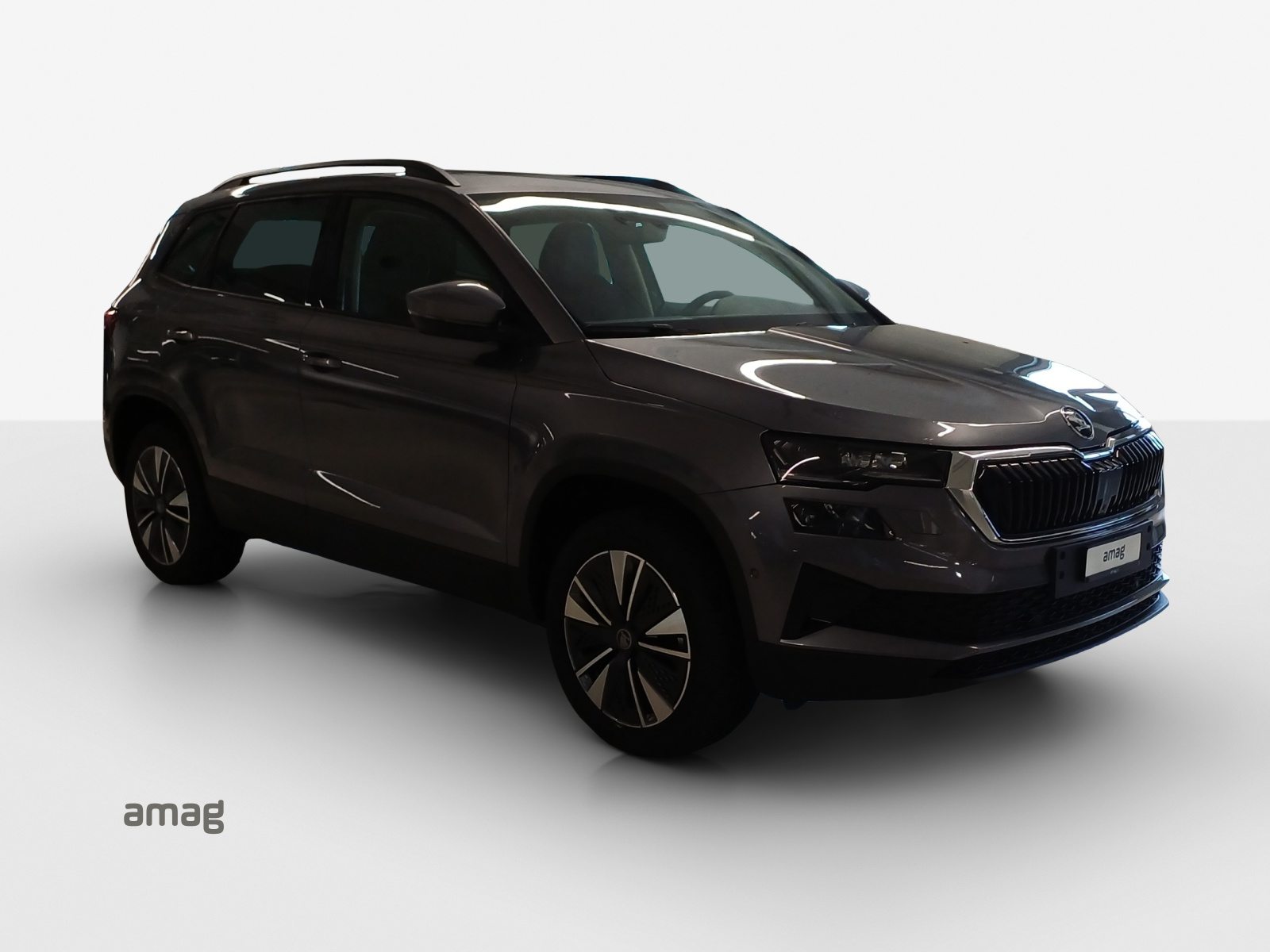 SKODA Karoq Dynamic (Netto), Petrol, New car, Automatic - 6