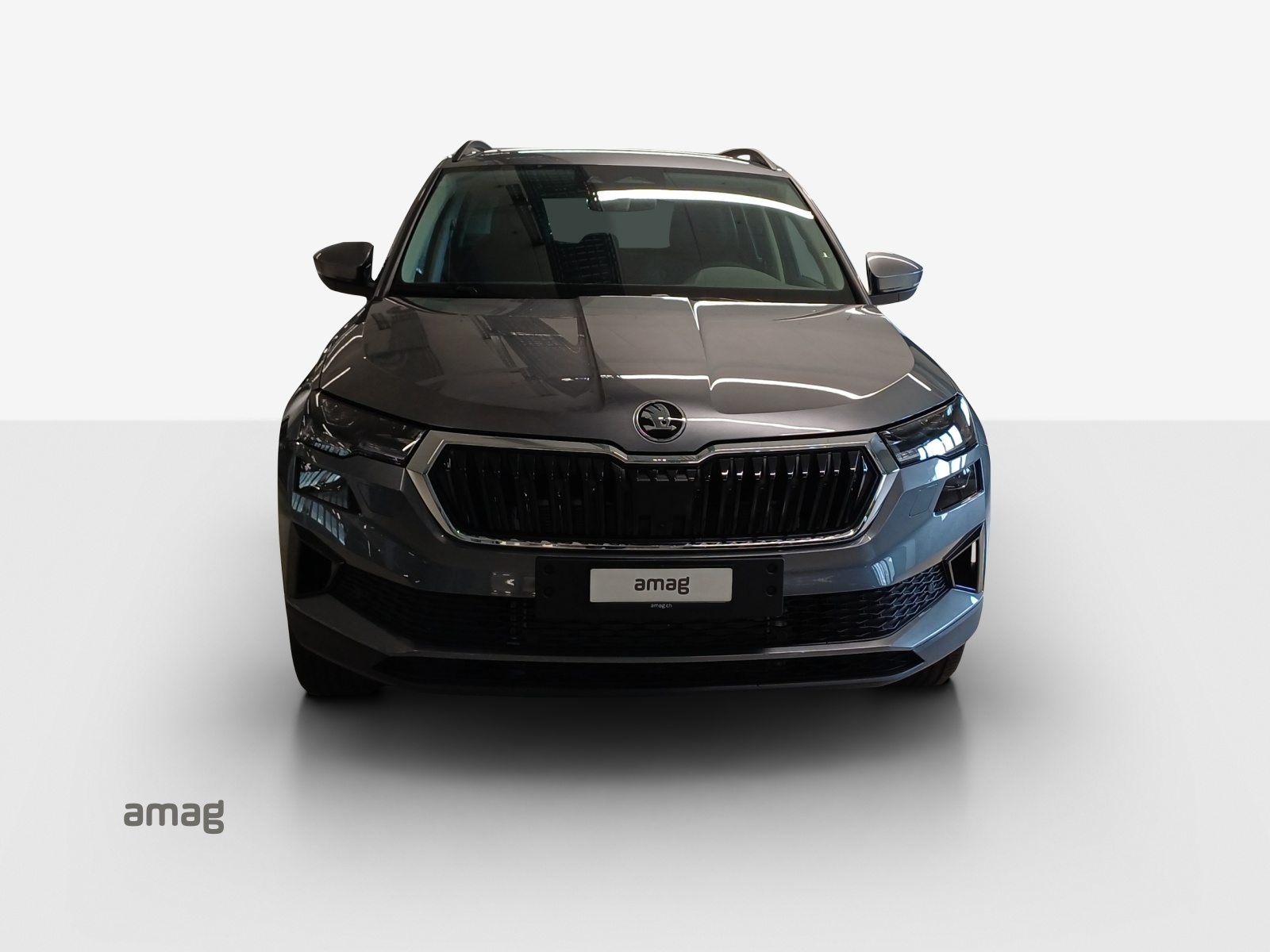 SKODA Karoq Dynamic (Netto), Petrol, New car, Automatic - 7