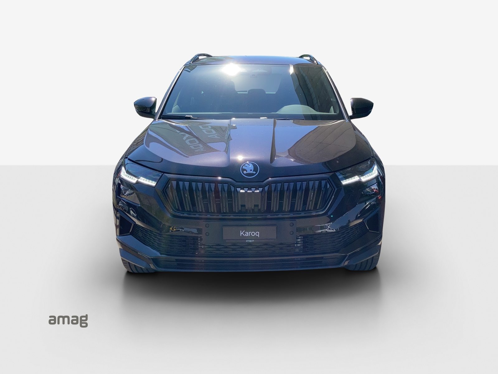 SKODA Karoq Sportline, Petrol, New car, Automatic - 7