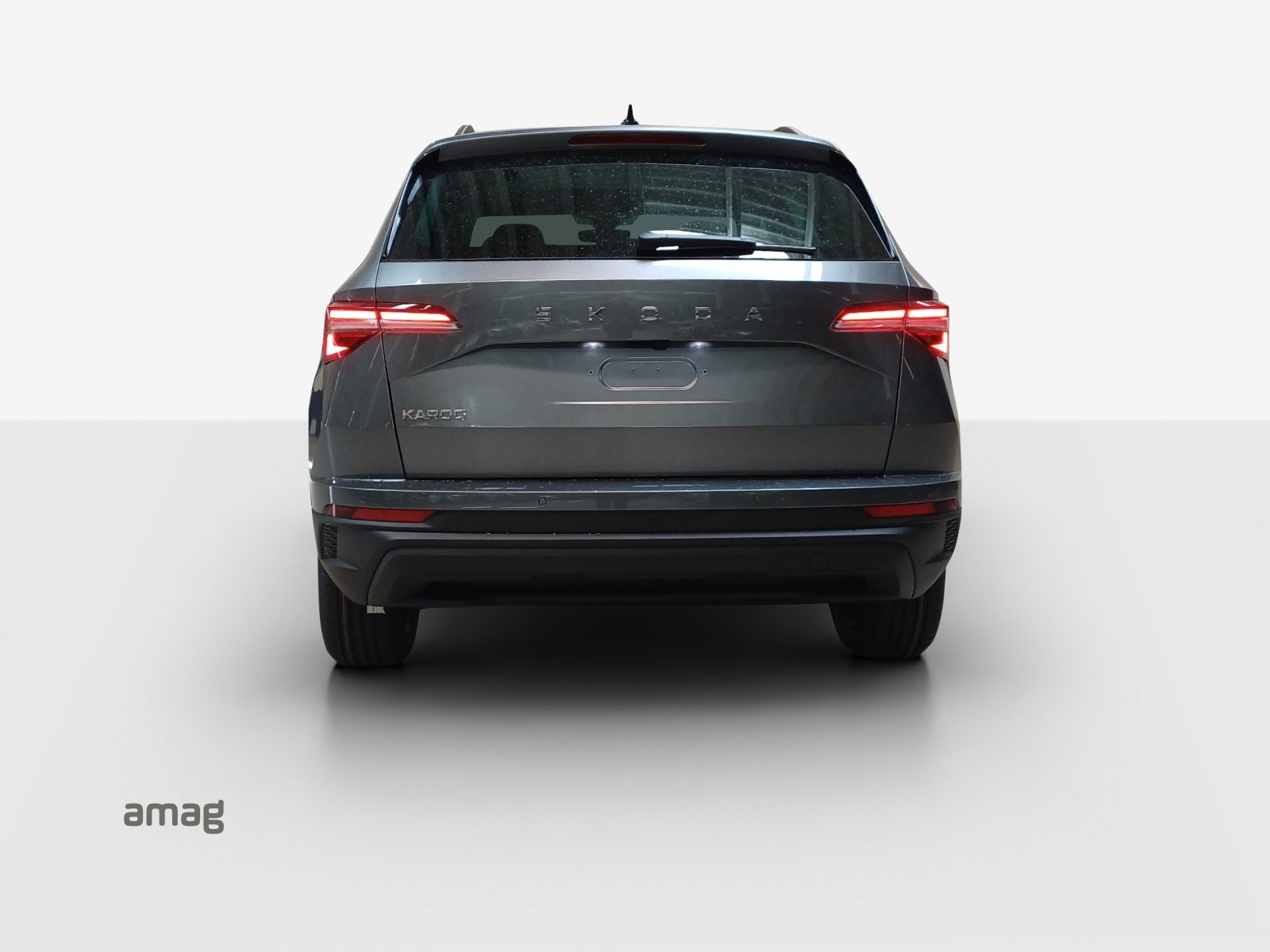 SKODA Karoq Dynamic (Netto), Benzin, Neuwagen, Automatik - 4