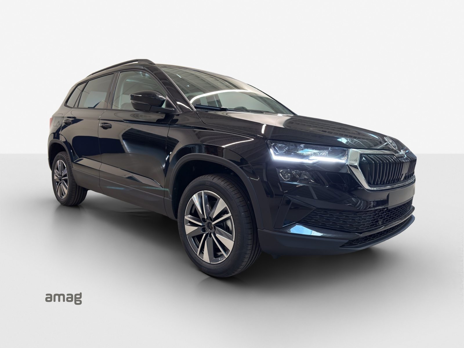 SKODA Karoq Dynamic (Netto), Benzin, Neuwagen, Automatik - 6