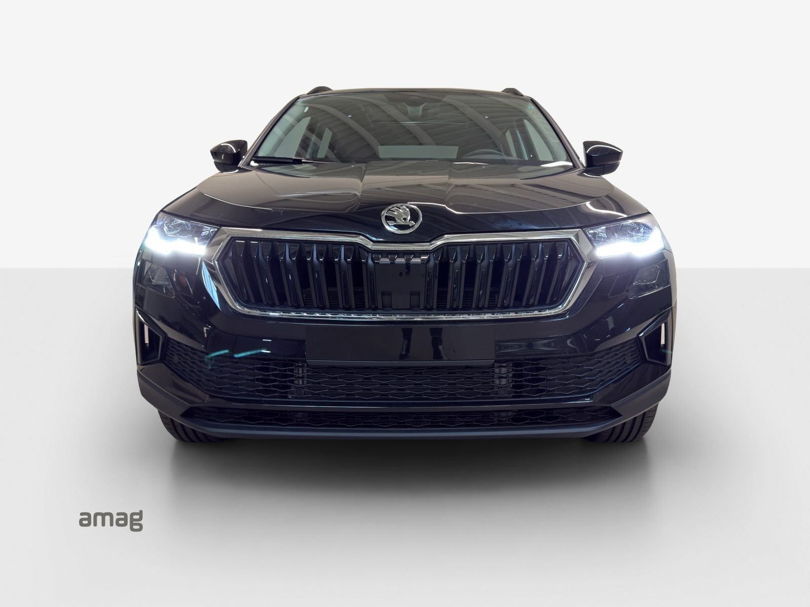 SKODA Karoq Dynamic (Netto), Benzin, Neuwagen, Automatik - 7