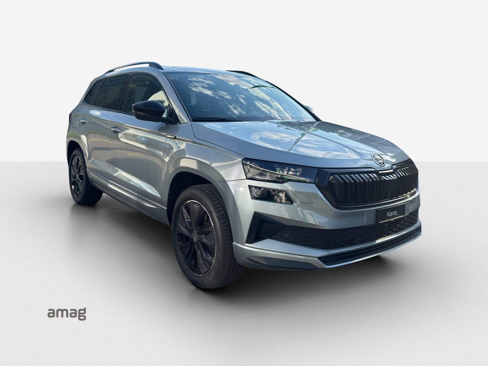 SKODA Karoq «Dynamic» Limited Edition (Netto), Benzina, Auto nuove, Automatico - 6