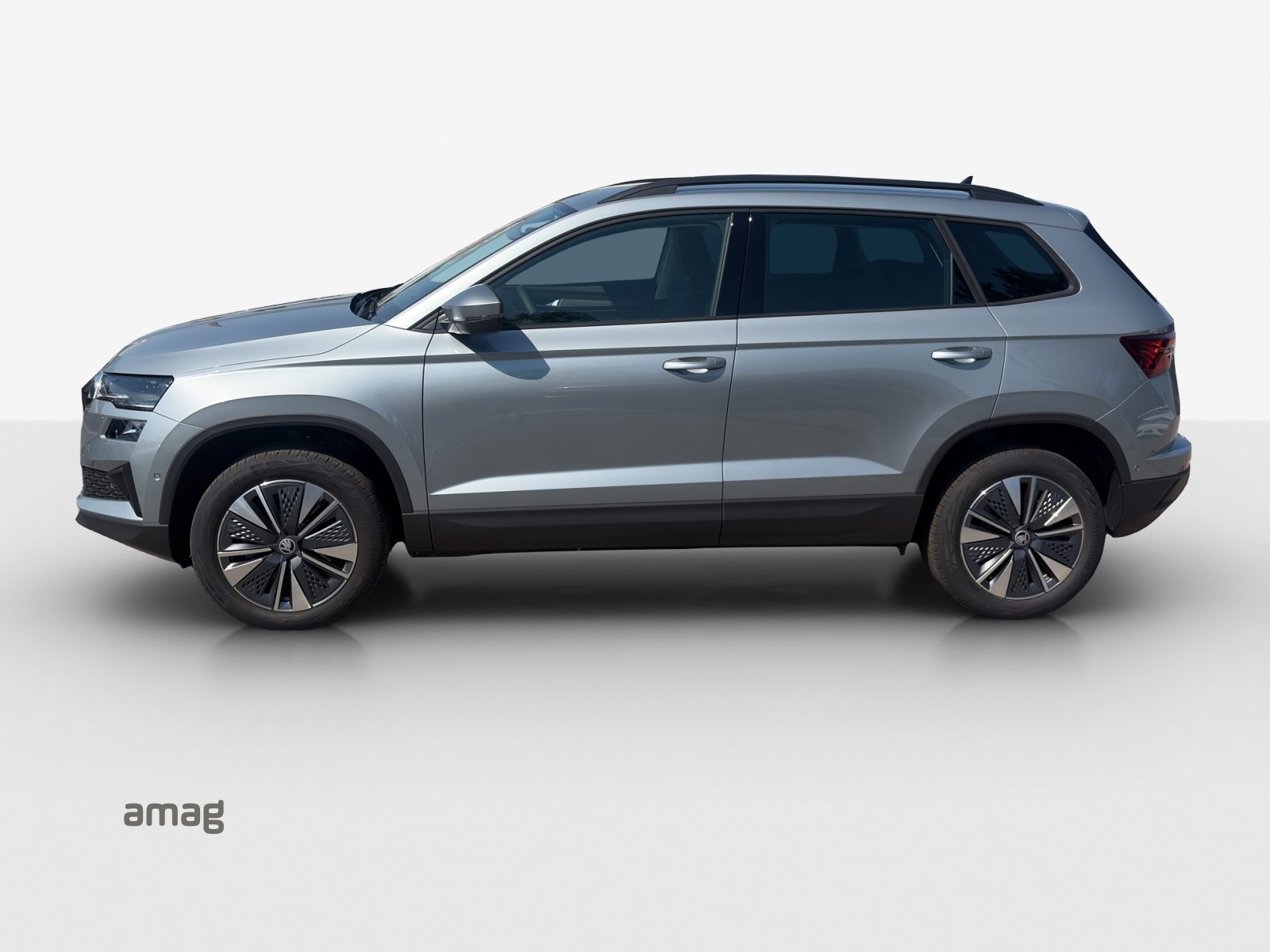 SKODA Karoq Dynamic (Netto), Benzina, Auto nuove, Automatico - 2