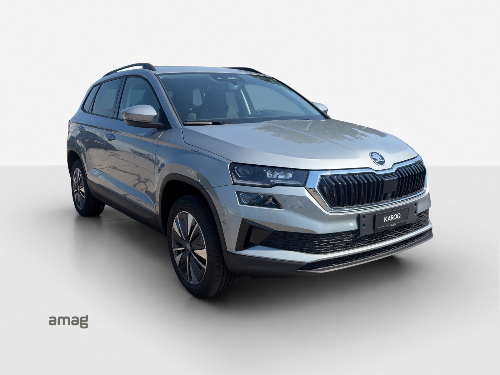 SKODA Karoq Dynamic (Netto), Benzina, Auto nuove, Automatico - 6