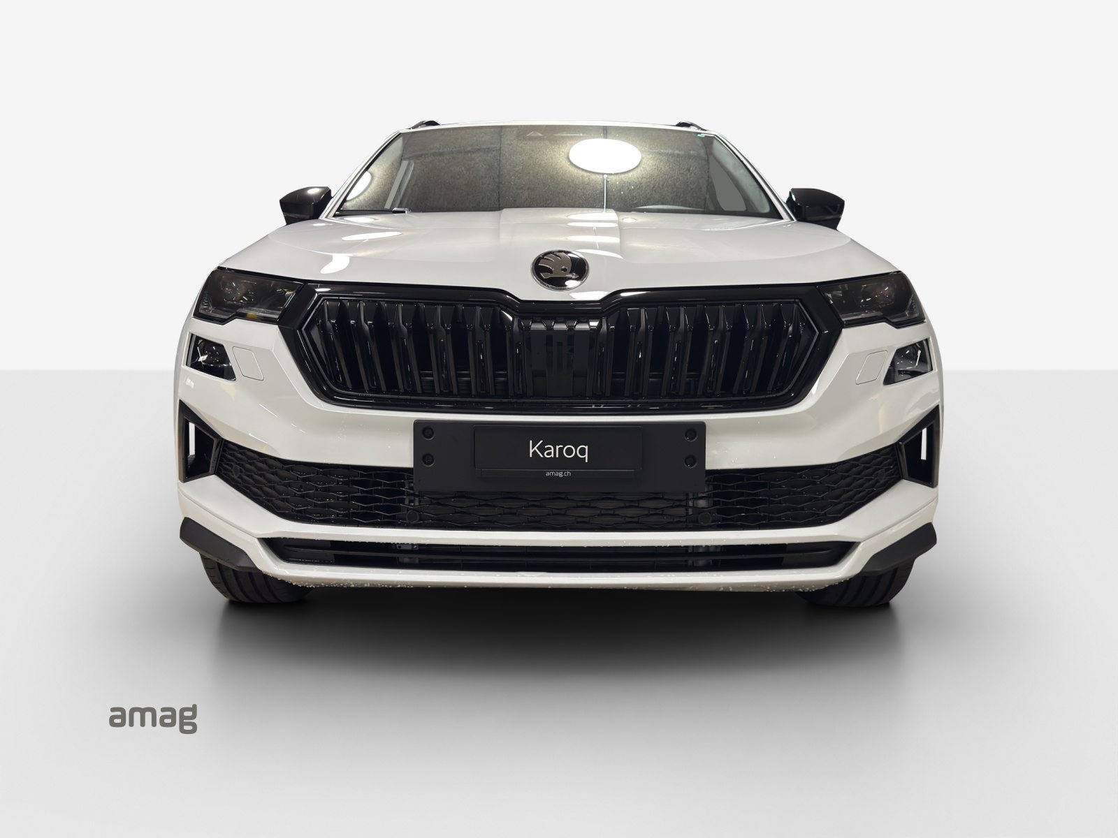 SKODA Karoq Sportline, Petrol, New car, Automatic - 7