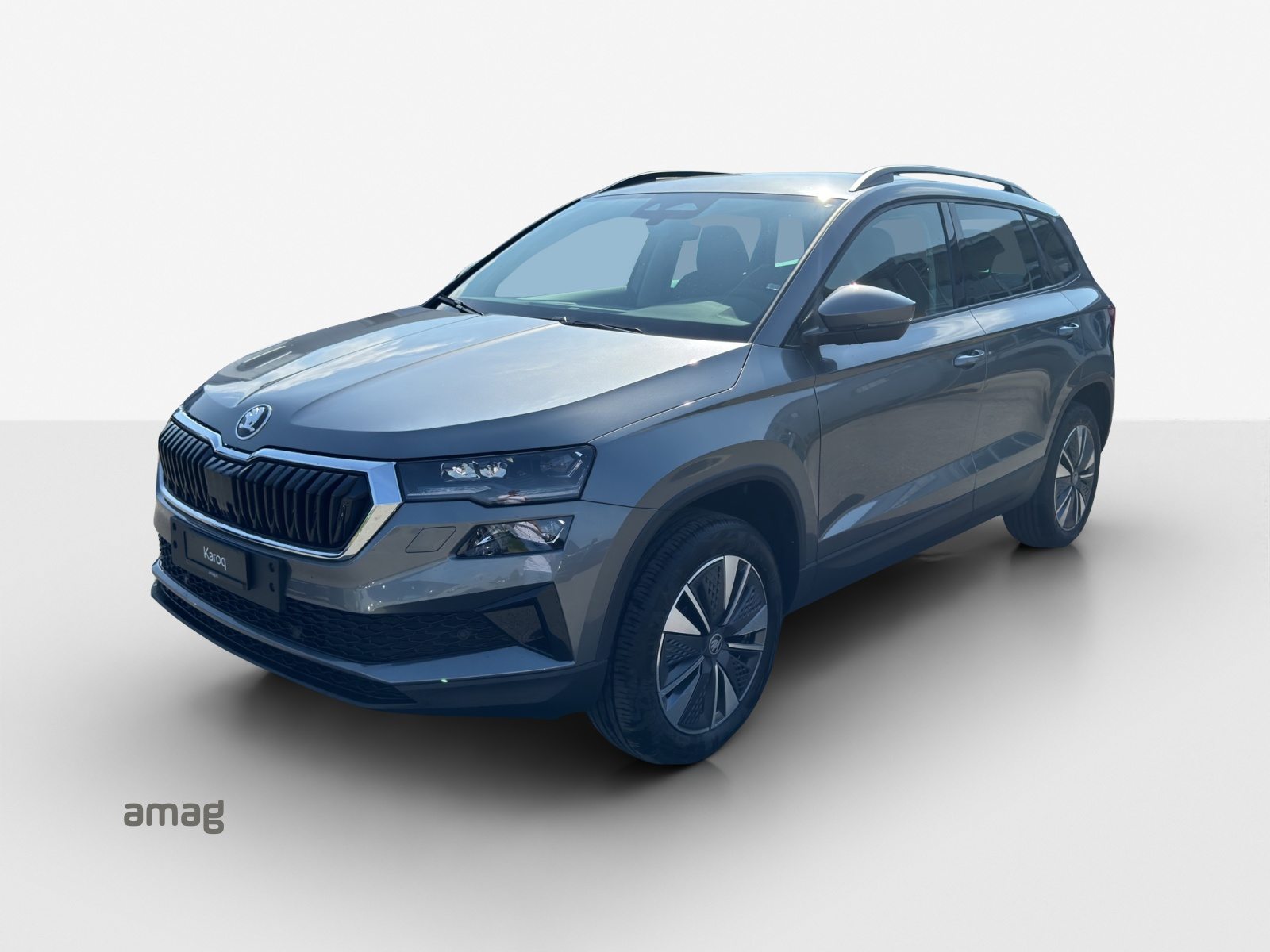 SKODA Karoq Dynamic (Netto)