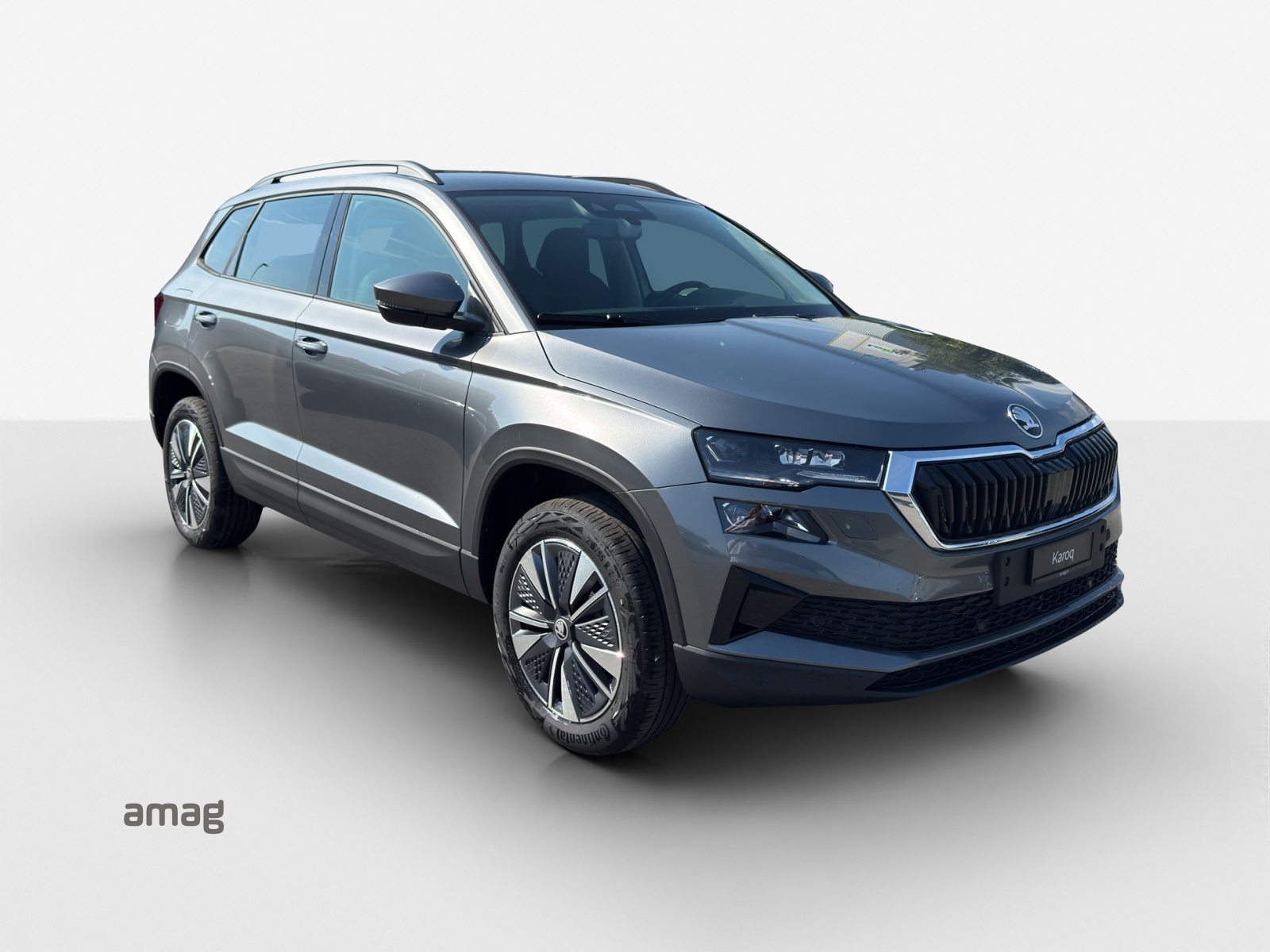 SKODA Karoq Dynamic (Netto), Benzina, Auto nuove, Automatico - 6