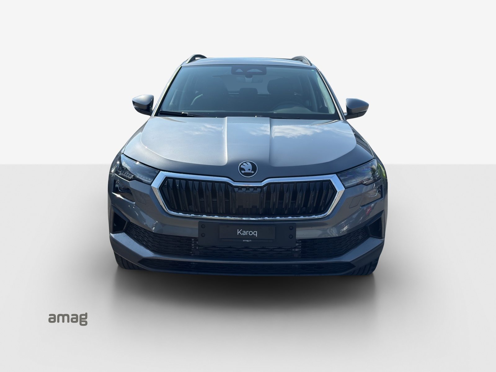 SKODA Karoq Dynamic (Netto), Benzina, Auto nuove, Automatico - 7