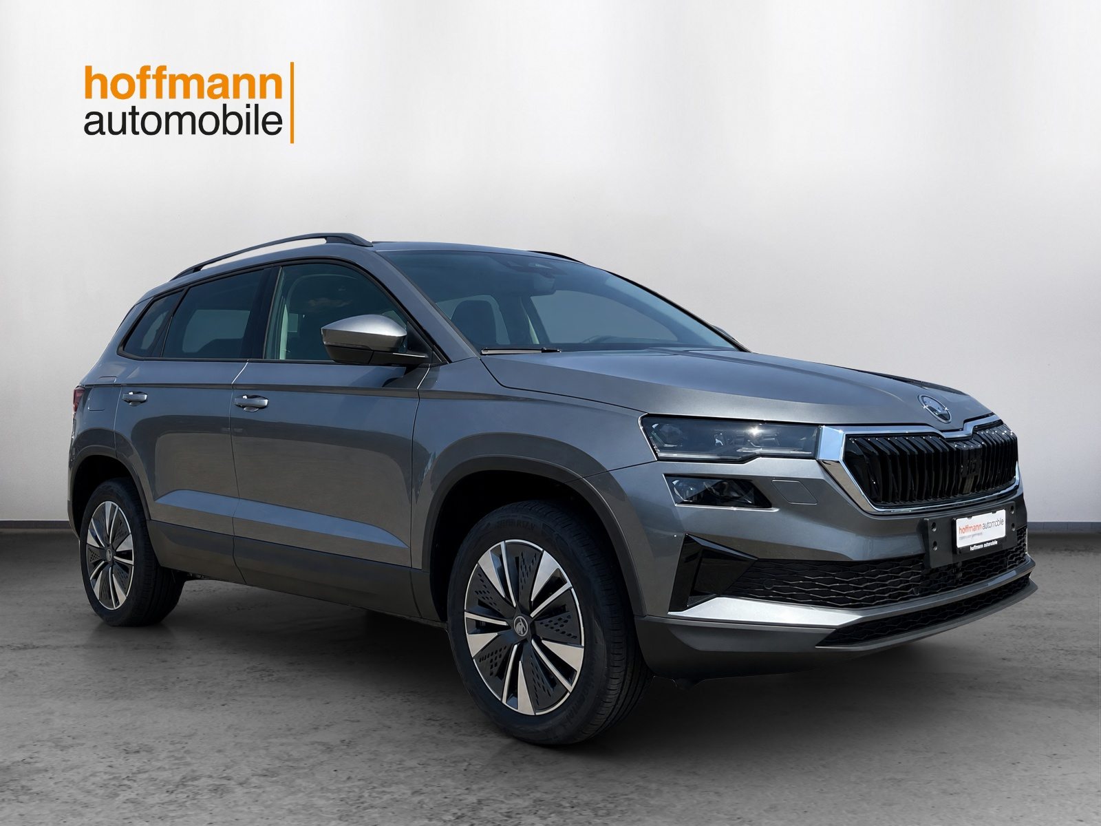 SKODA Karoq Dynamic (Netto), Petrol, New car, Automatic - 3