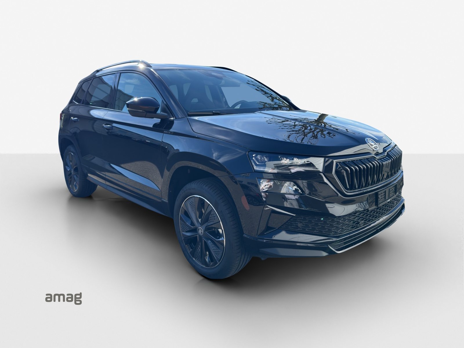 SKODA Karoq «Dynamic» Limited Edition (Netto), Benzina, Auto nuove, Automatico - 6