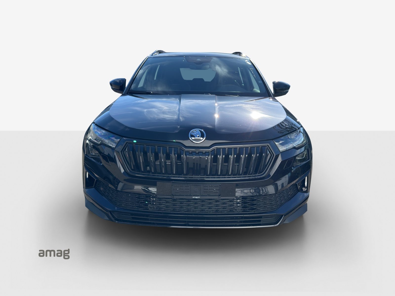 SKODA Karoq «Dynamic» Limited Edition (Netto), Benzina, Auto nuove, Automatico - 7