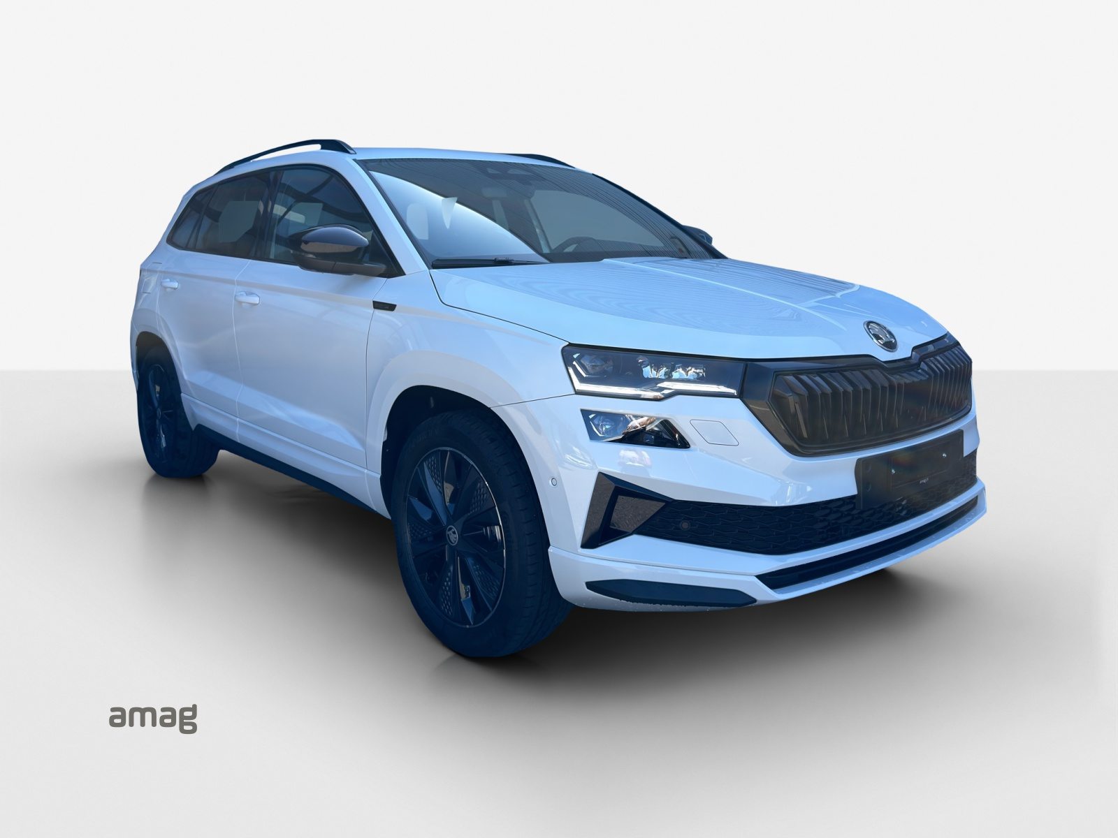 SKODA Karoq Sportline, Petrol, New car, Automatic - 6