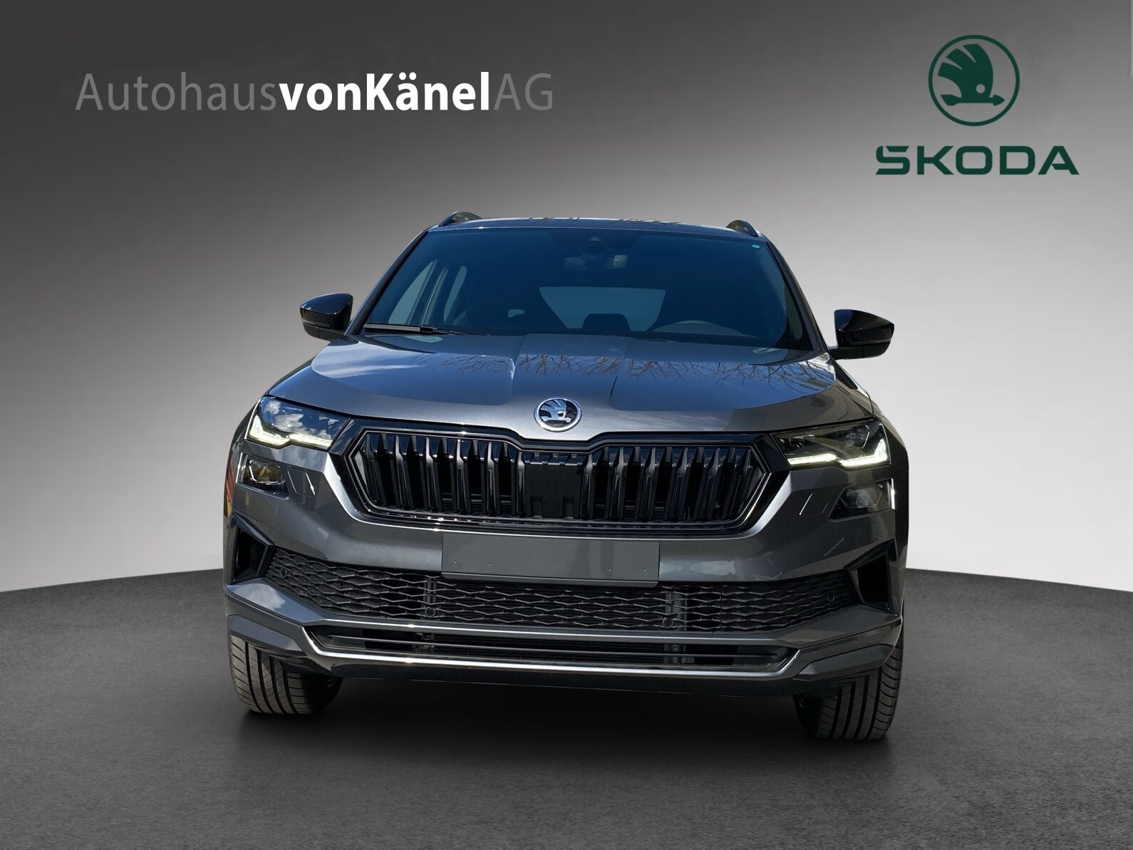 SKODA Karoq Sportline, Petrol, New car, Automatic - 4