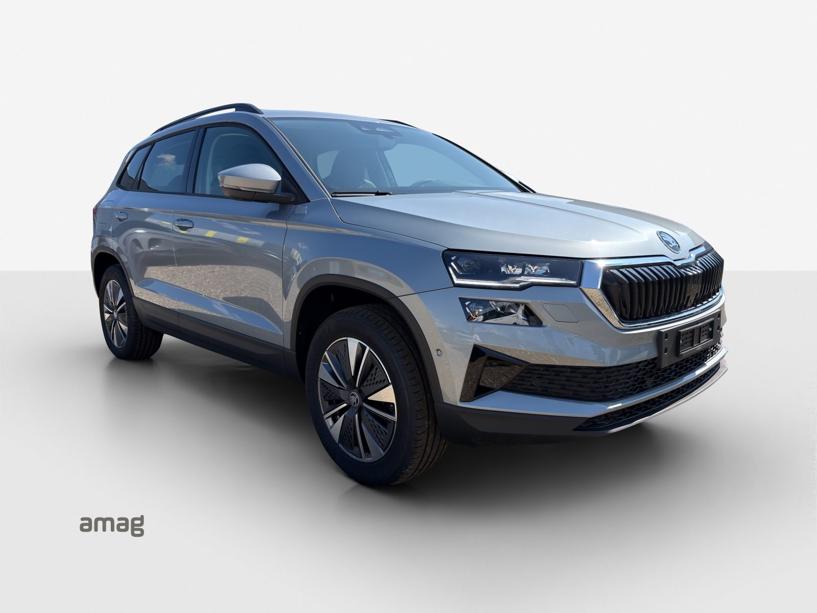 SKODA Karoq Dynamic (Netto), Diesel, Voiture nouvelle, Automatique - 6
