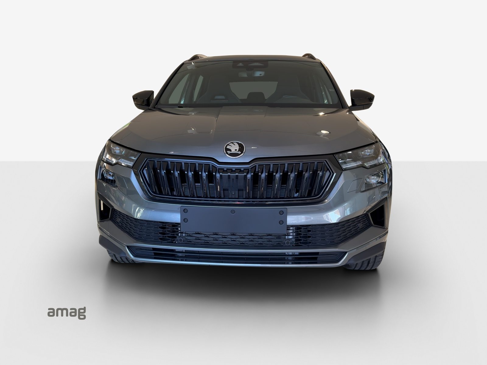 SKODA Karoq Sportline, Diesel, Voiture nouvelle, Automatique - 7