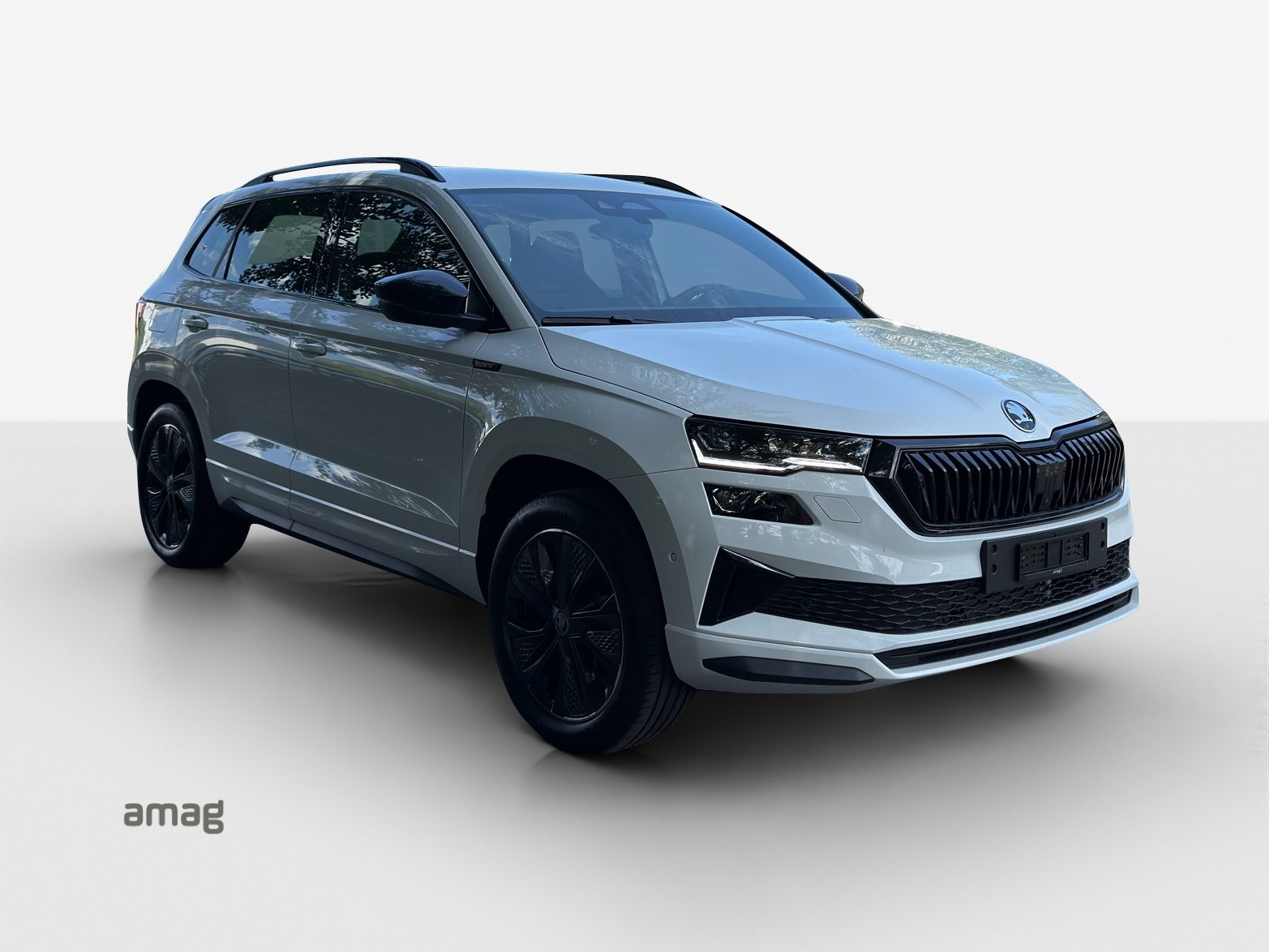 SKODA Karoq Sportline, Benzina, Auto nuove, Automatico - 6
