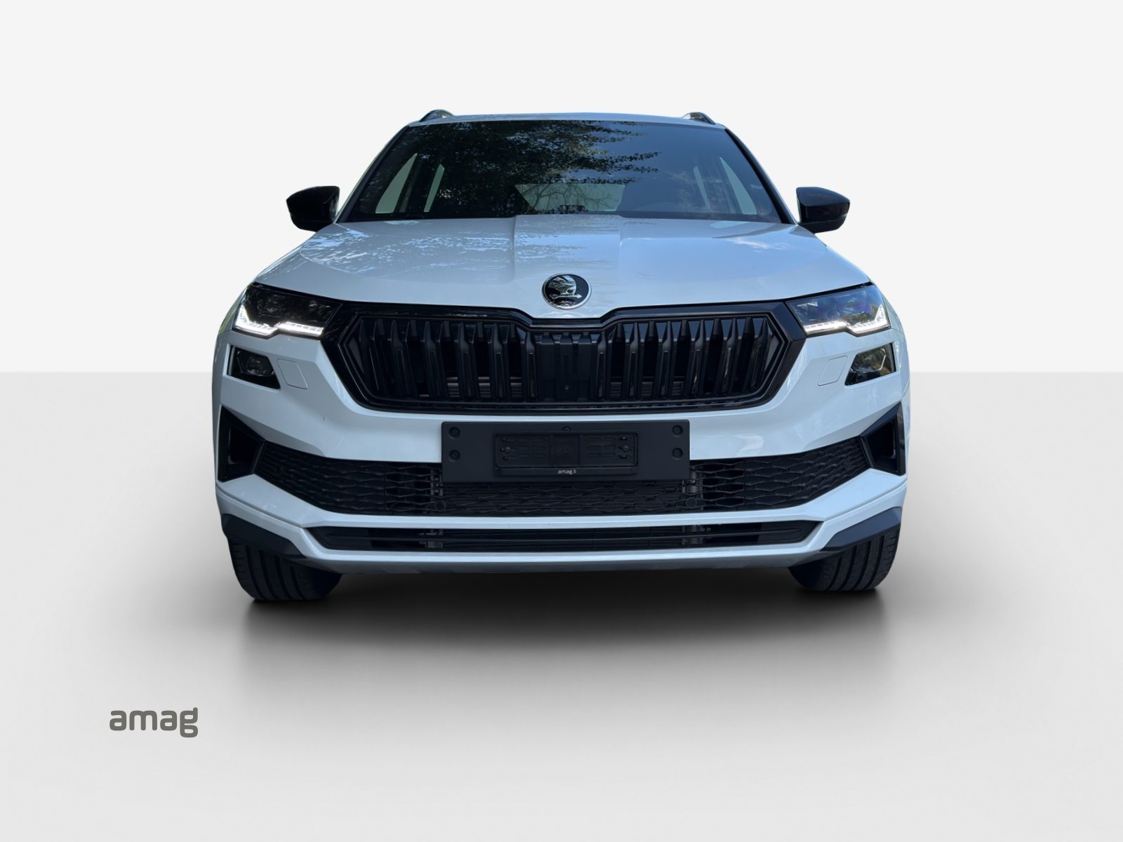 SKODA Karoq Sportline, Benzina, Auto nuove, Automatico - 7