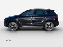 SKODA Karoq «Dynamic» Limited Edition (Netto), Petrol, New car, Automatic - 2