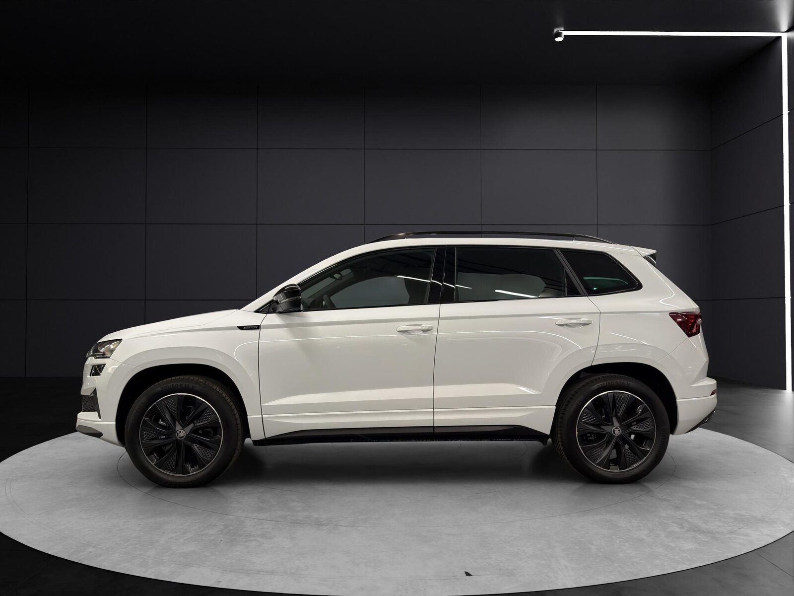 SKODA Karoq 2.0 TSI SportLine 4x4 DSG, Essence, Voiture nouvelle, Automatique - 2