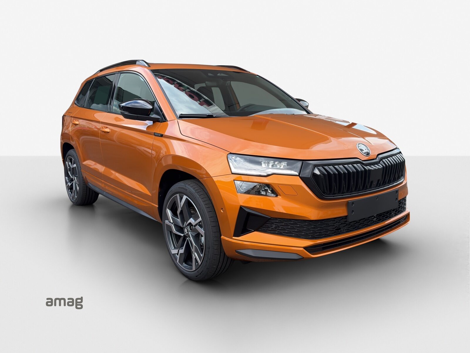 SKODA Karoq Sportline, Petrol, New car, Automatic - 6