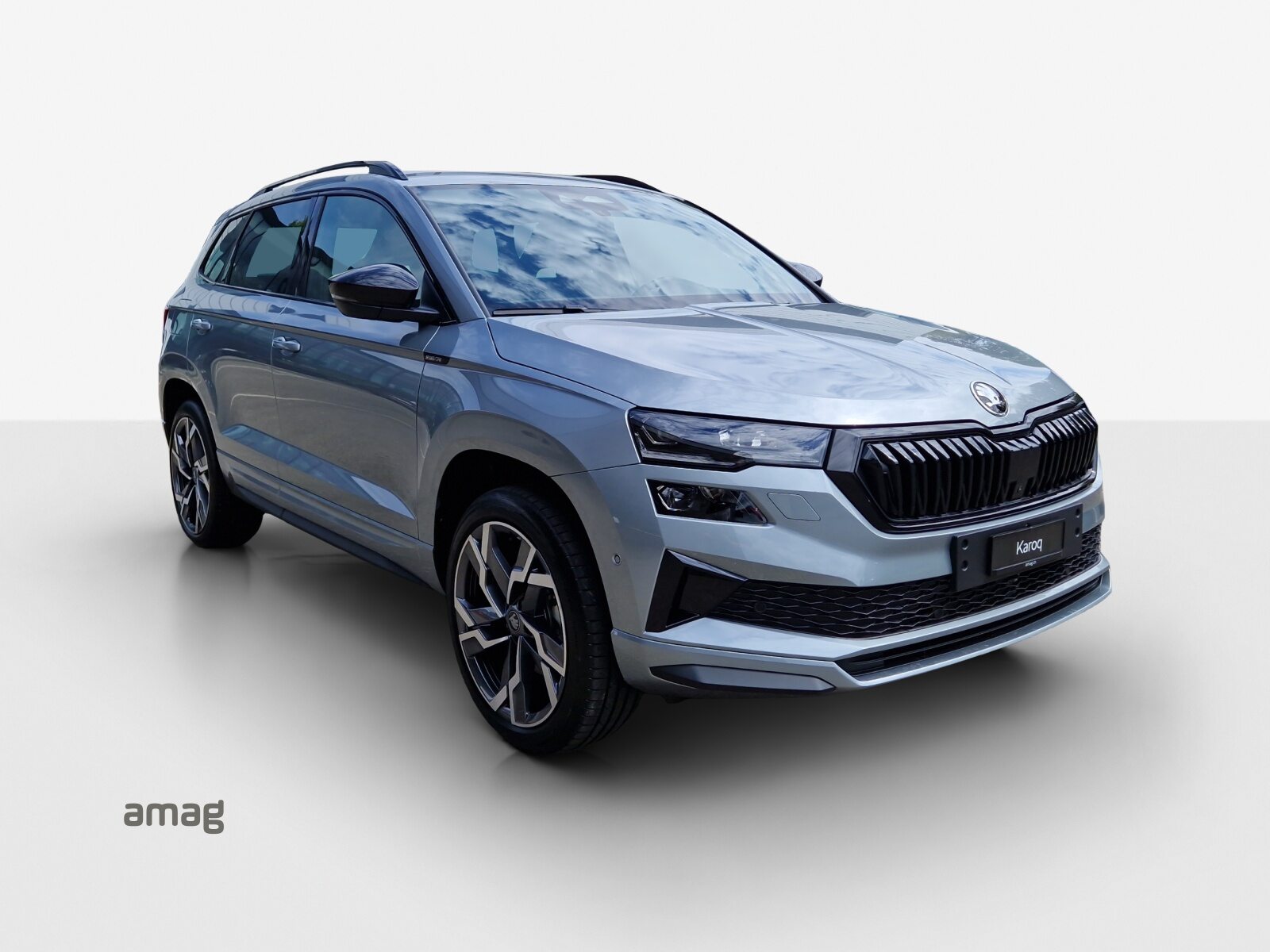 SKODA Karoq Sportline, Diesel, Auto nuove, Automatico - 6