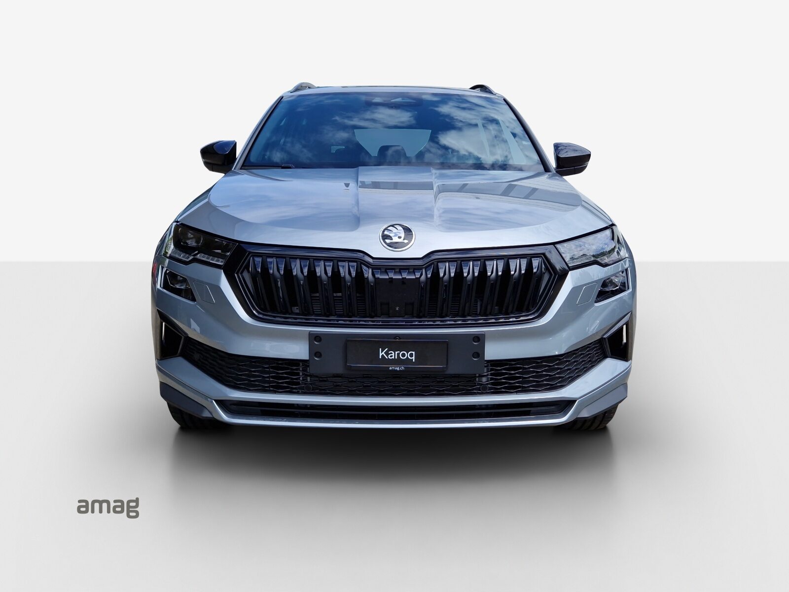 SKODA Karoq Sportline, Diesel, Auto nuove, Automatico - 7