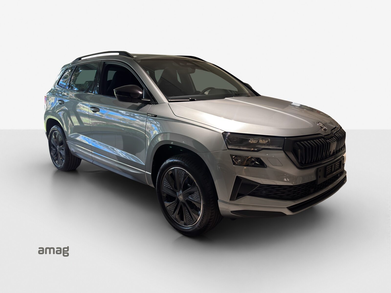 SKODA Karoq Sportline, Essence, Voiture nouvelle, Automatique - 4