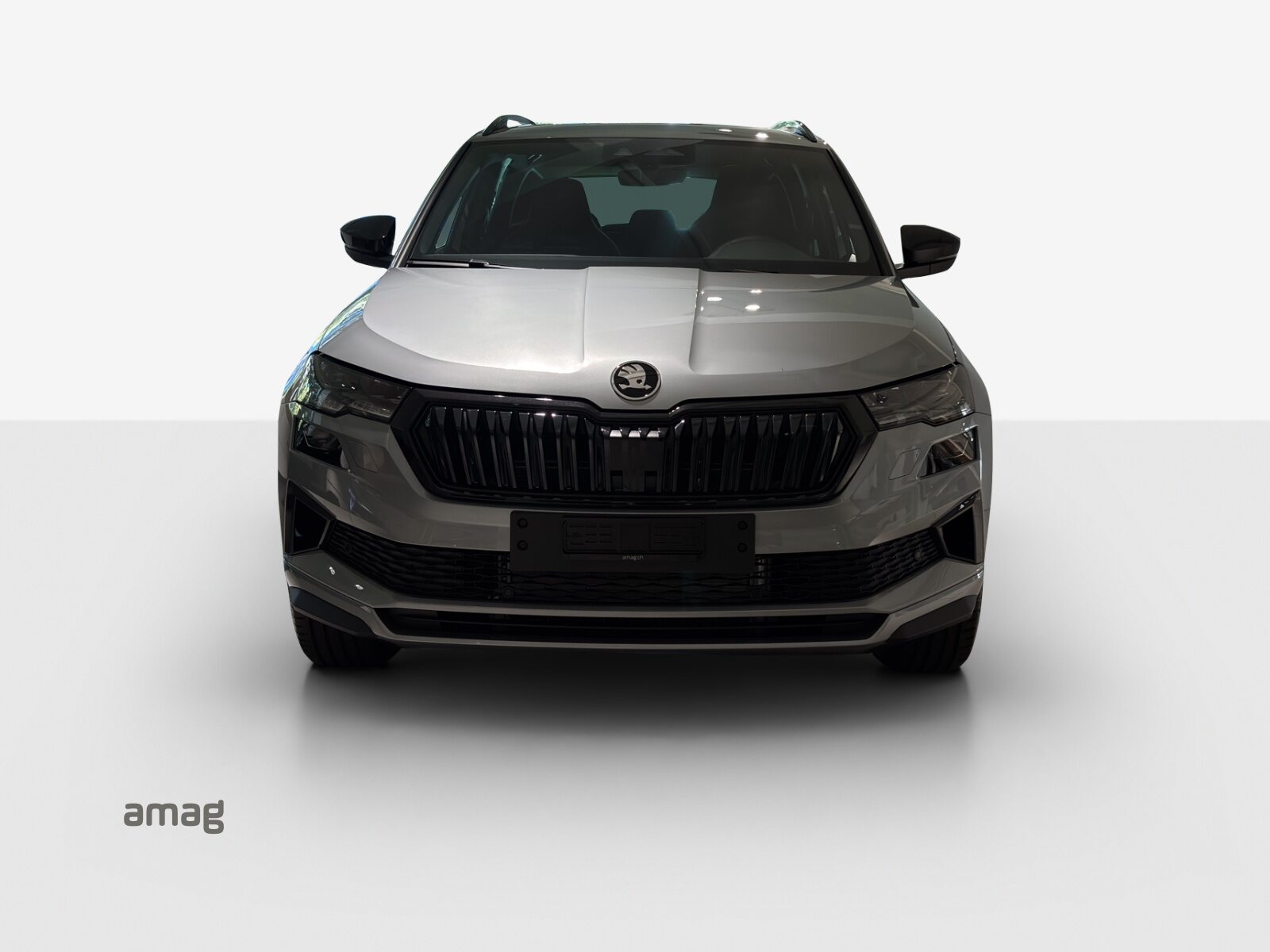 SKODA Karoq Sportline, Essence, Voiture nouvelle, Automatique - 5