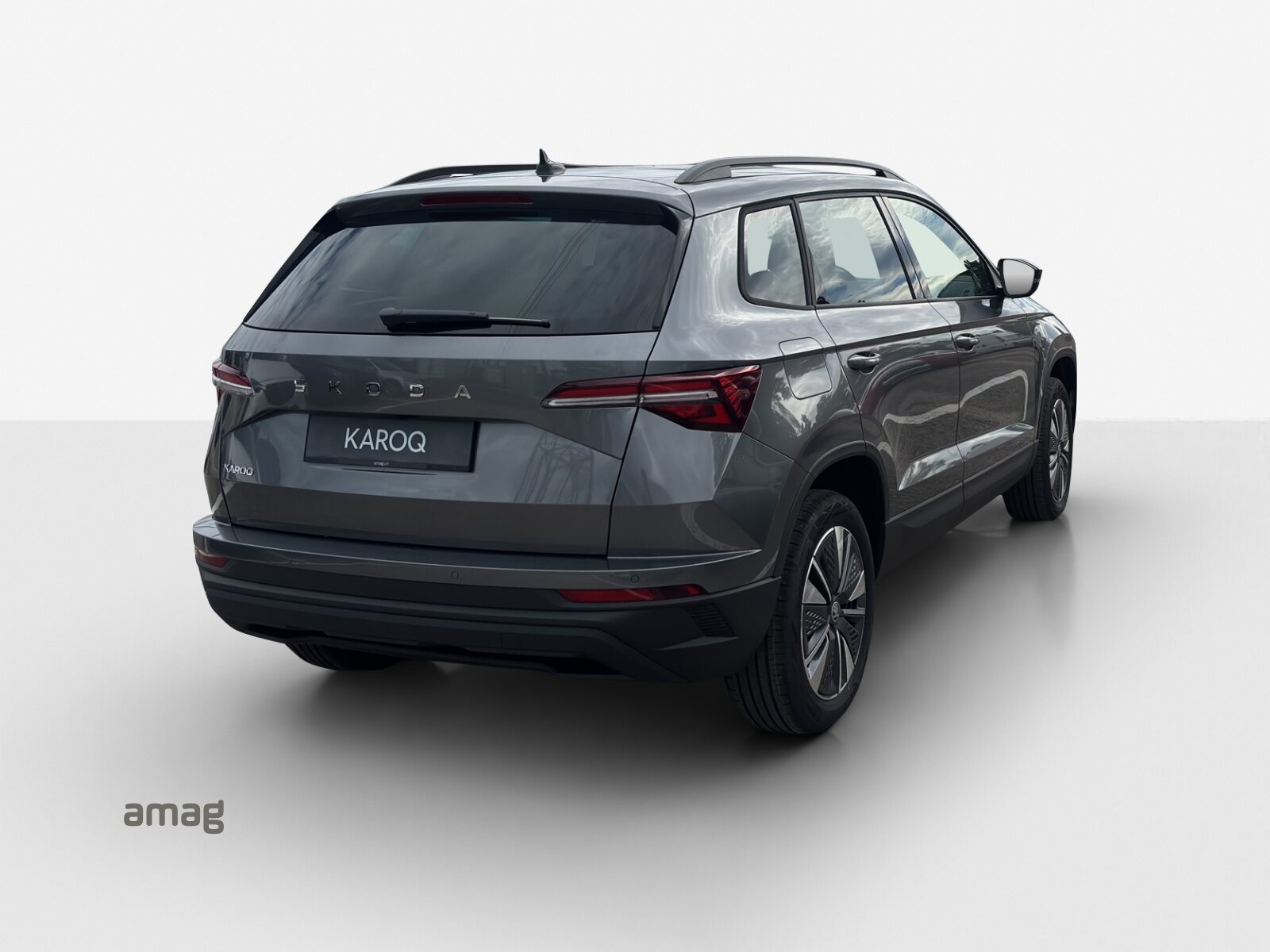 SKODA Karoq Dynamic (Netto), Benzin, Neuwagen, Automatik - 5